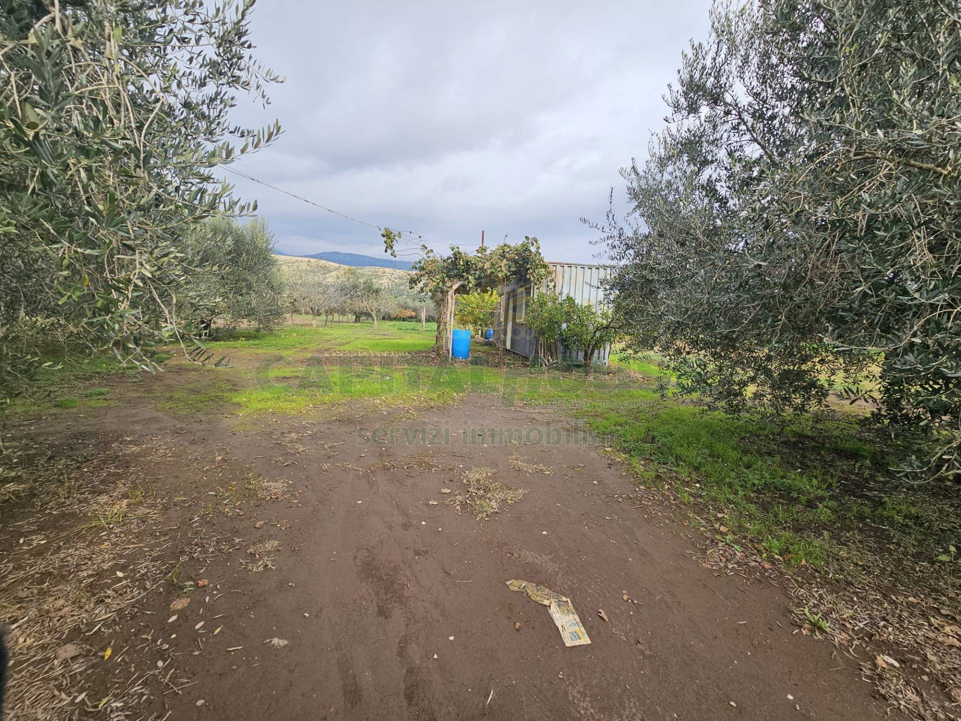 Terreno agricolo in vendita a Pastorano