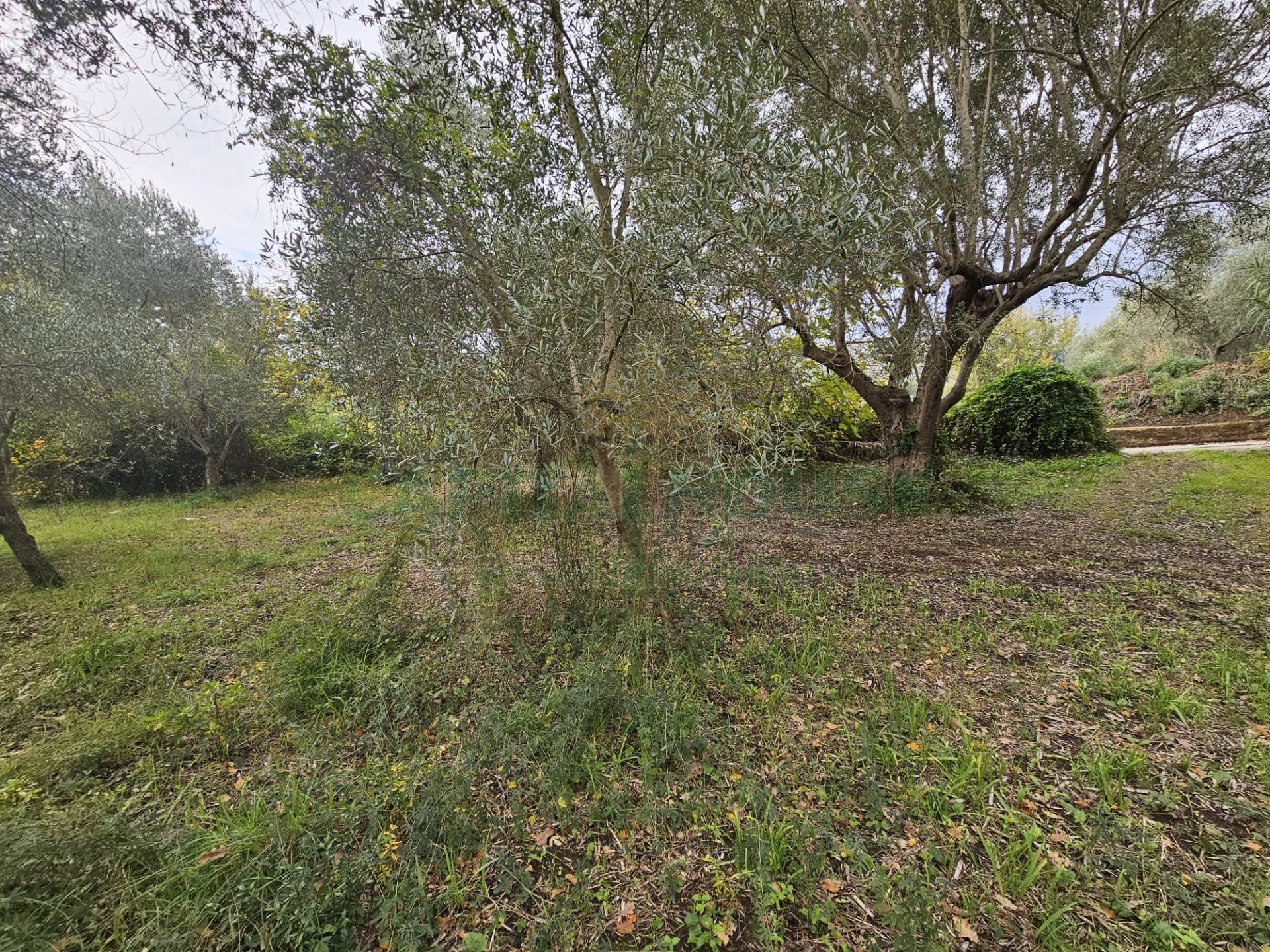 Terreno agricolo in vendita a Camigliano