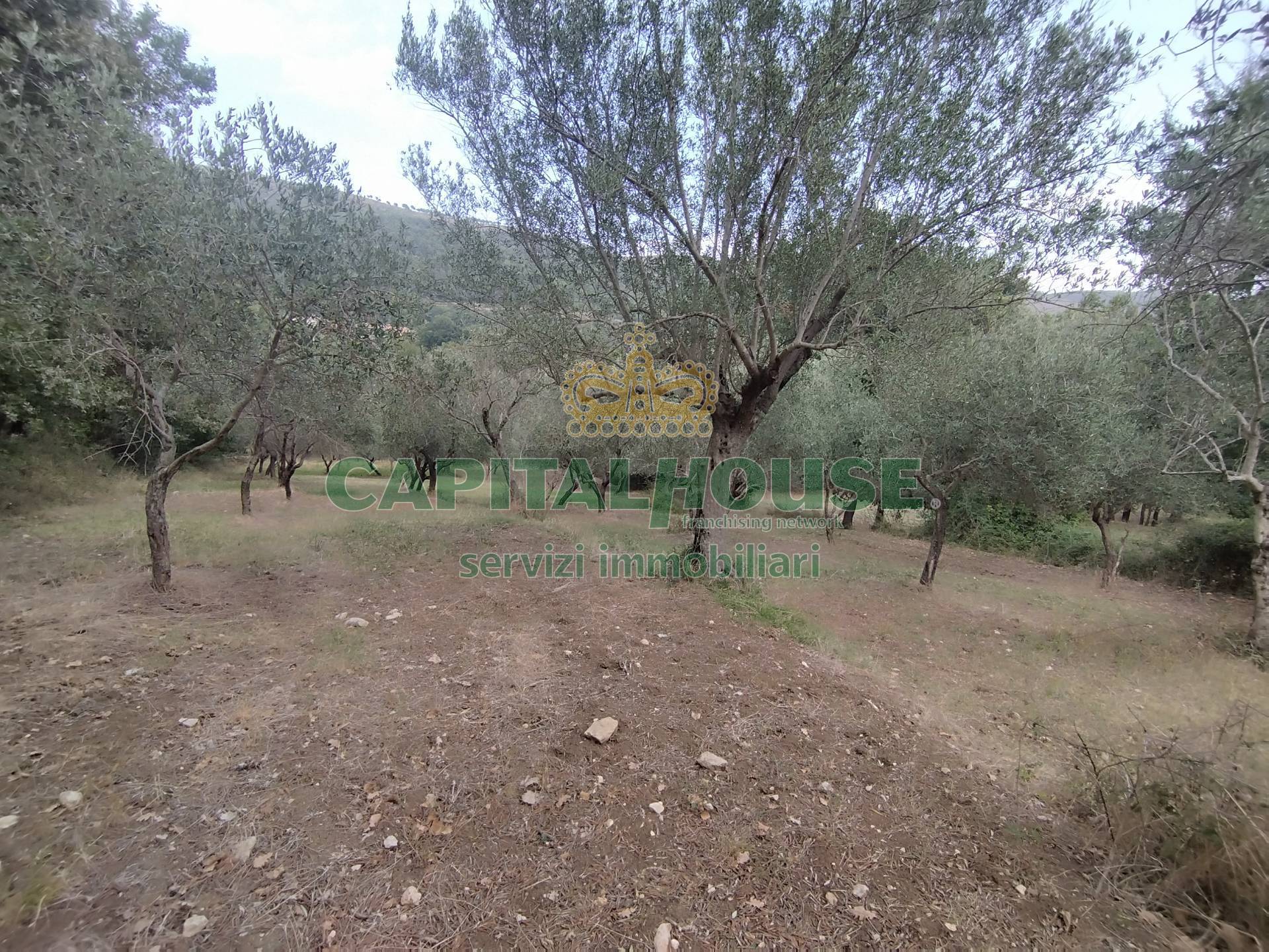 Terreno agricolo in vendita a Giano Vetusto