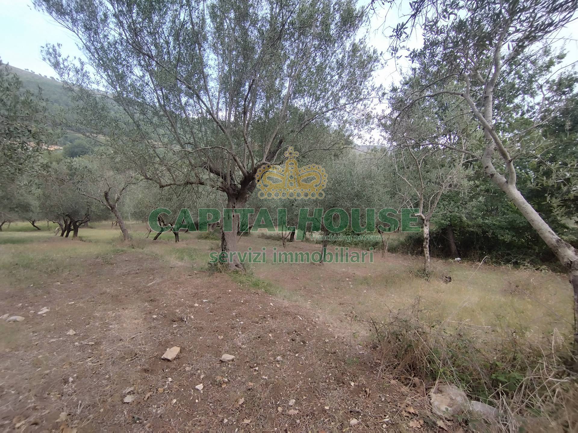 Terreno agricolo in vendita a Giano Vetusto
