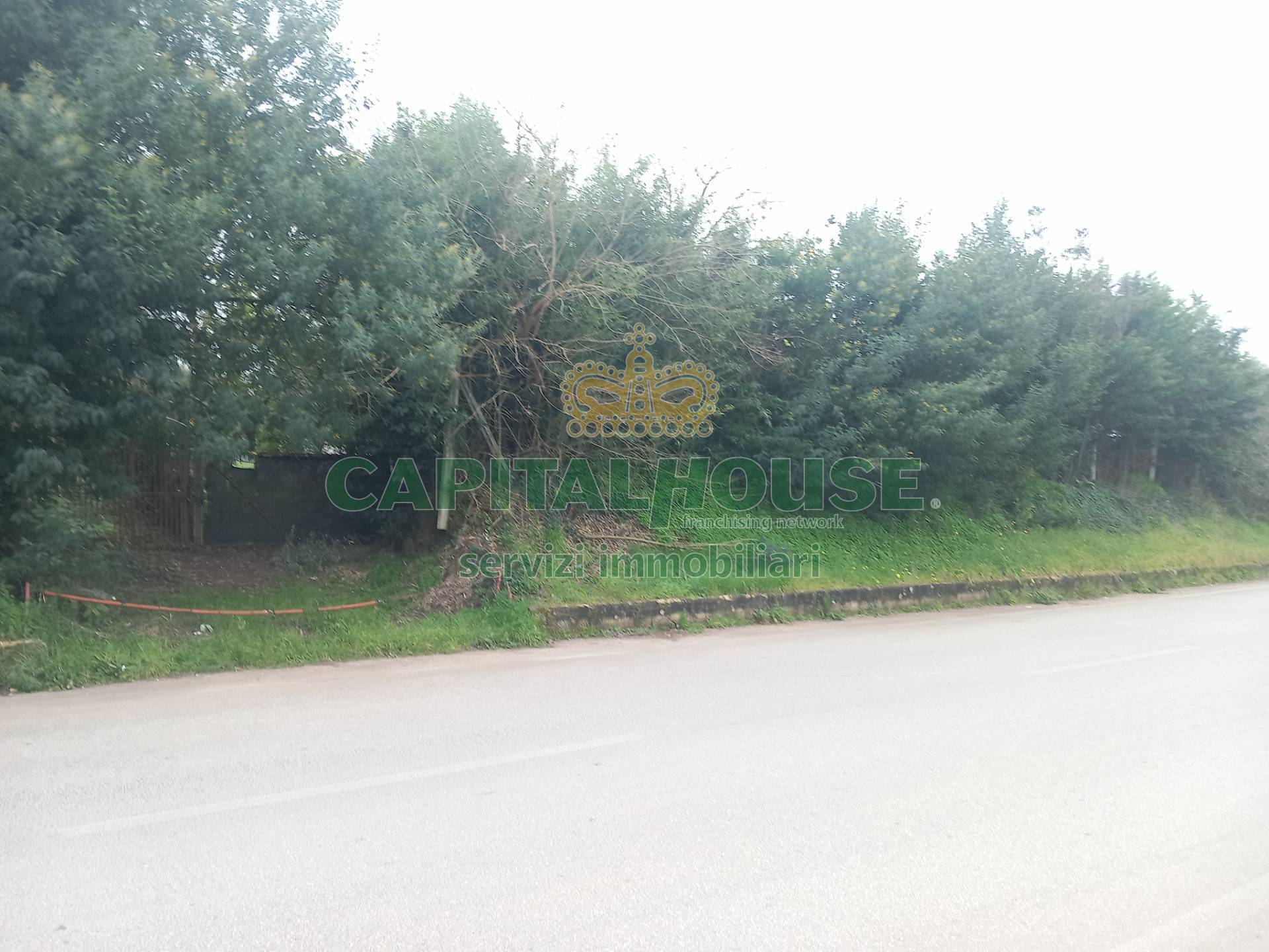 Terreno edificabile in vendita a Pignataro Maggiore