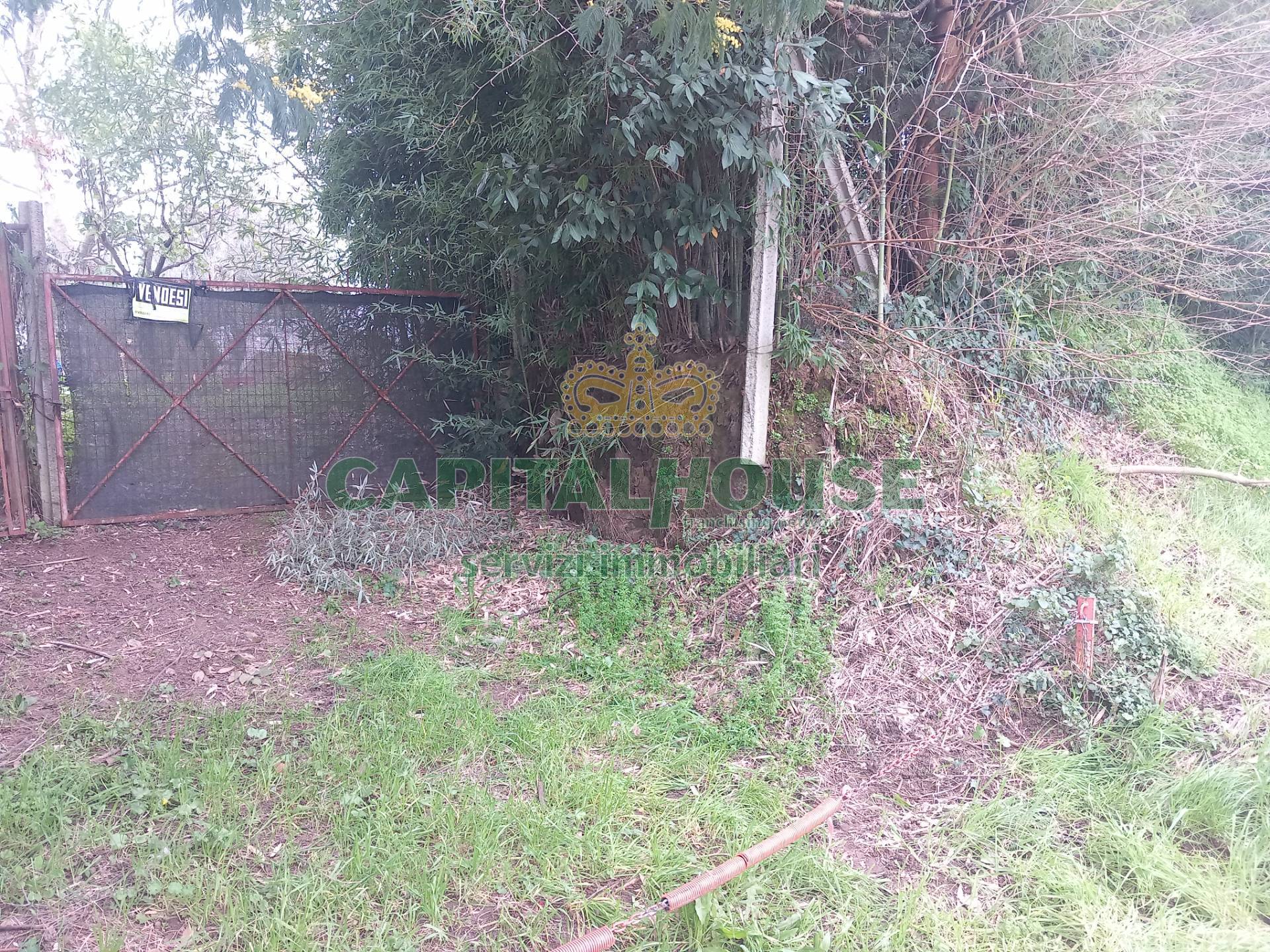 Terreno edificabile in vendita a Pignataro Maggiore