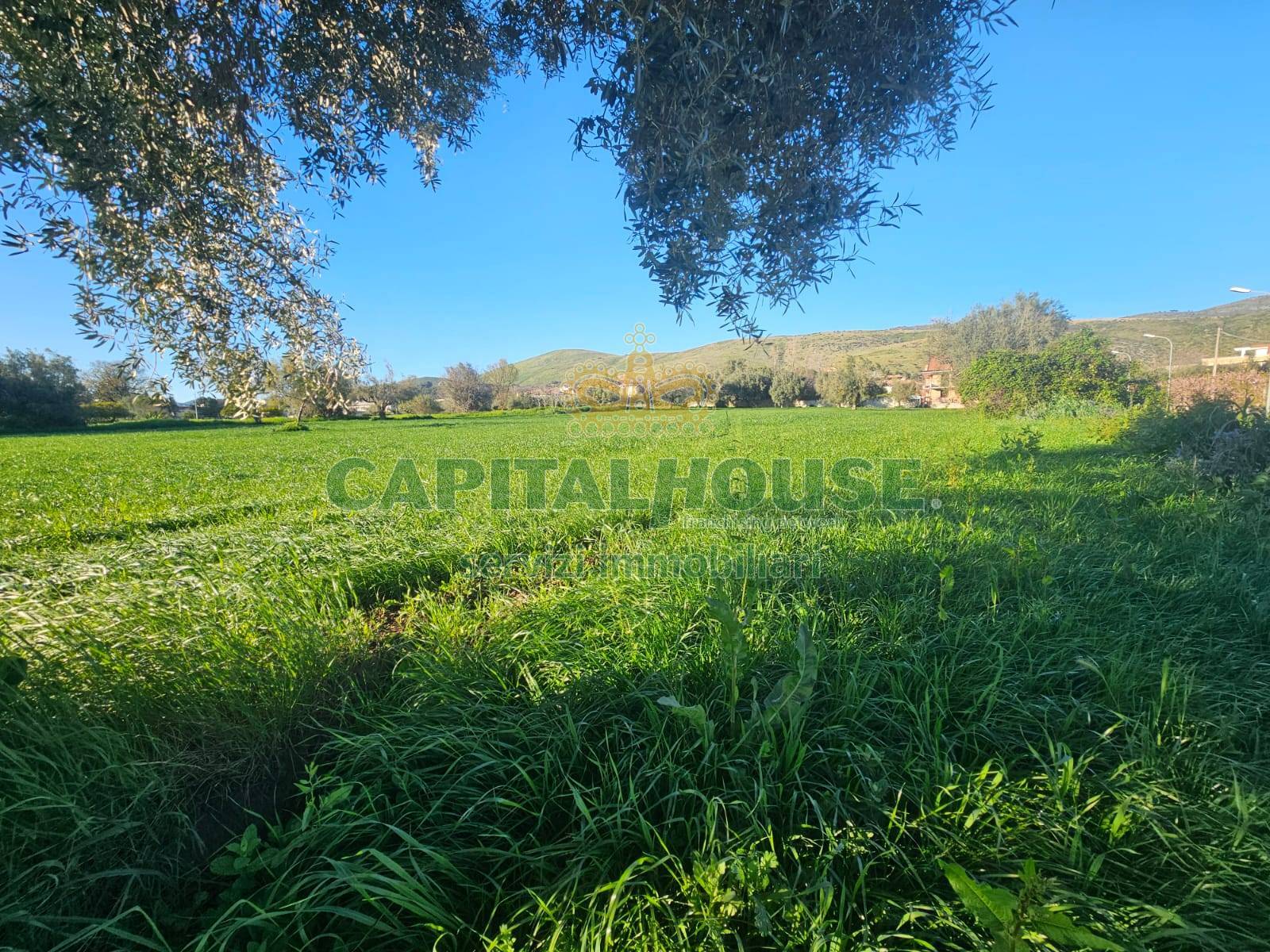 Terreno edificabile in vendita a Pignataro Maggiore