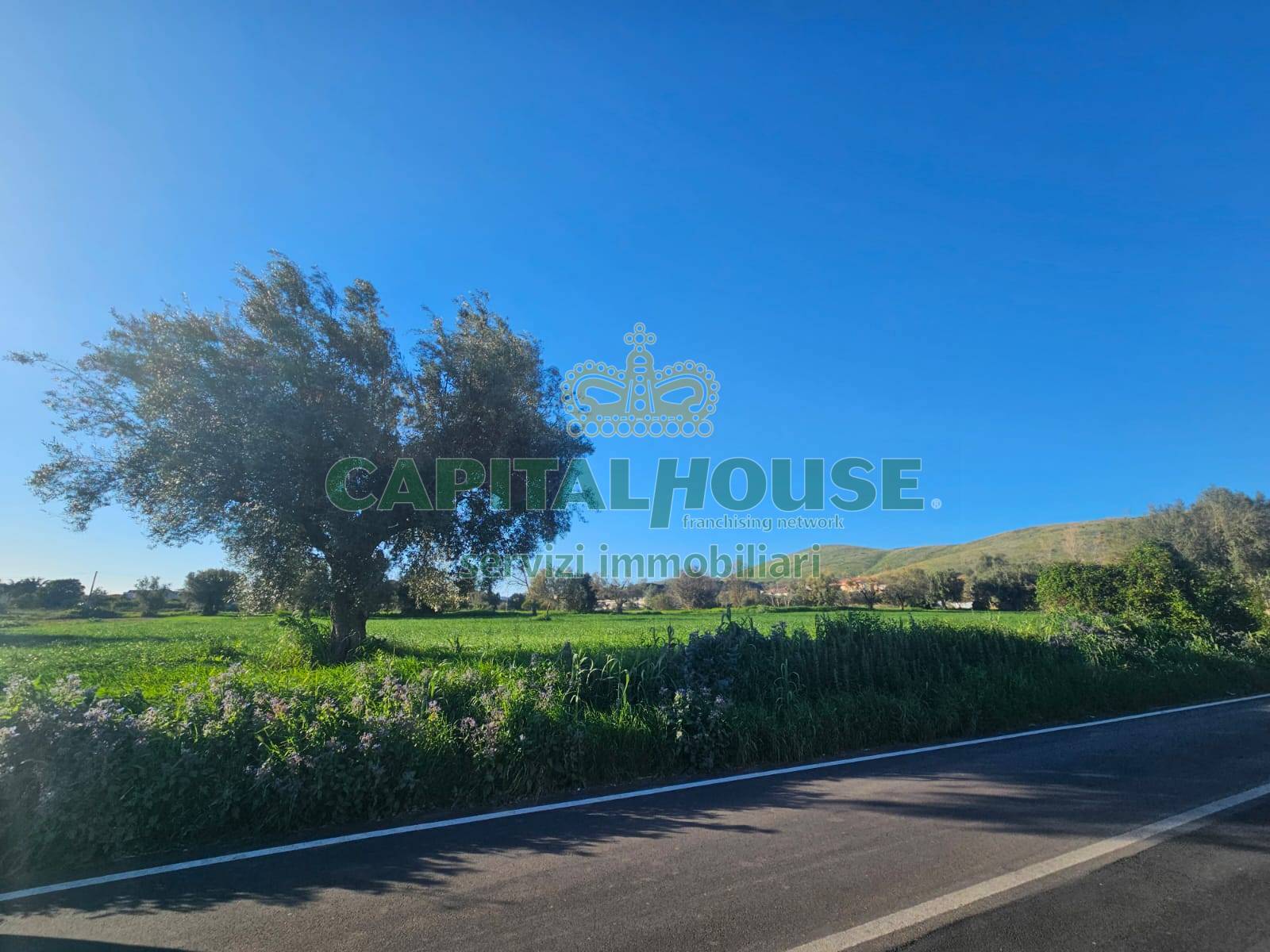 Terreno edificabile in vendita a Pignataro Maggiore