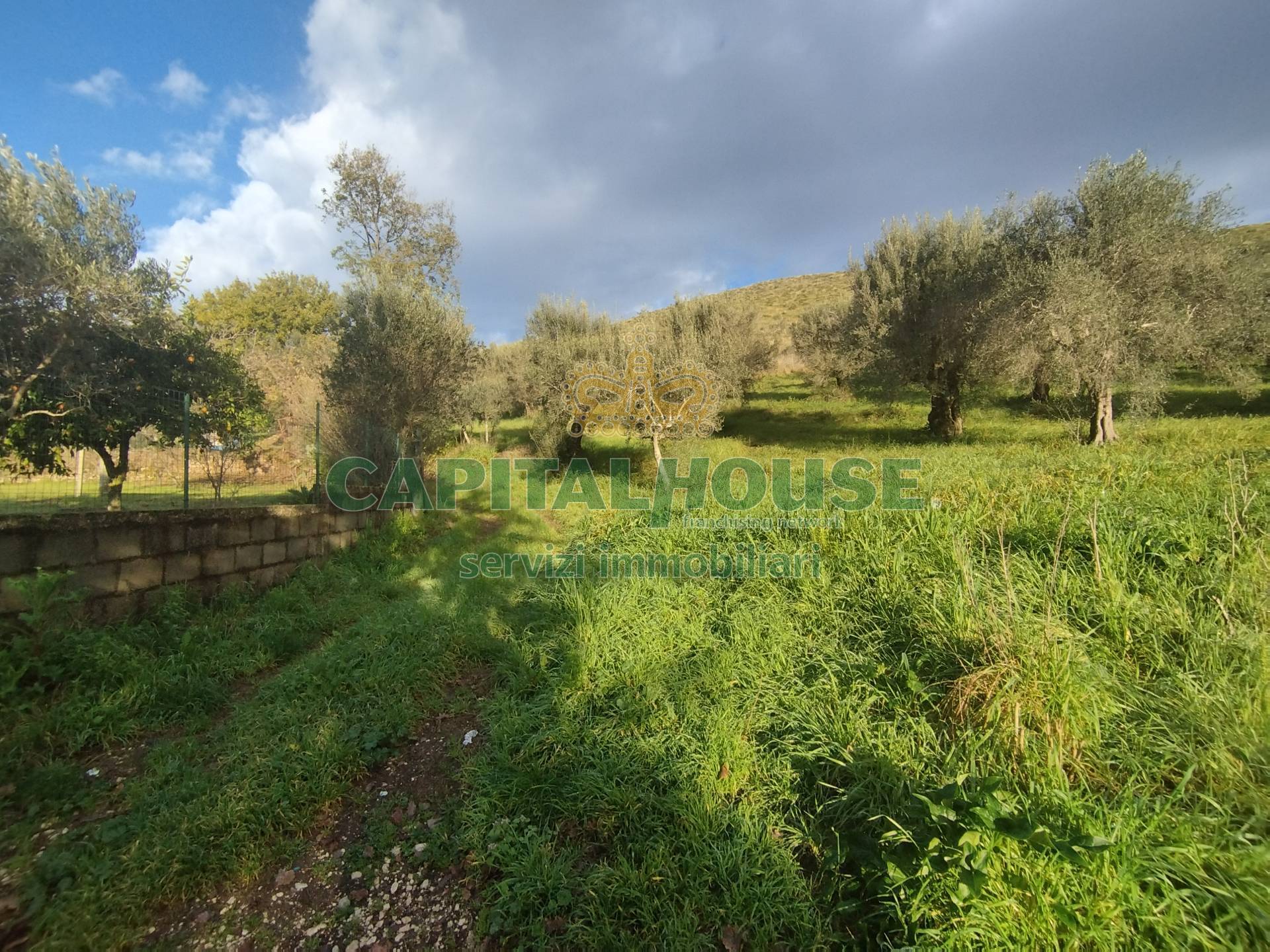 Terreno agricolo in vendita a Pastorano