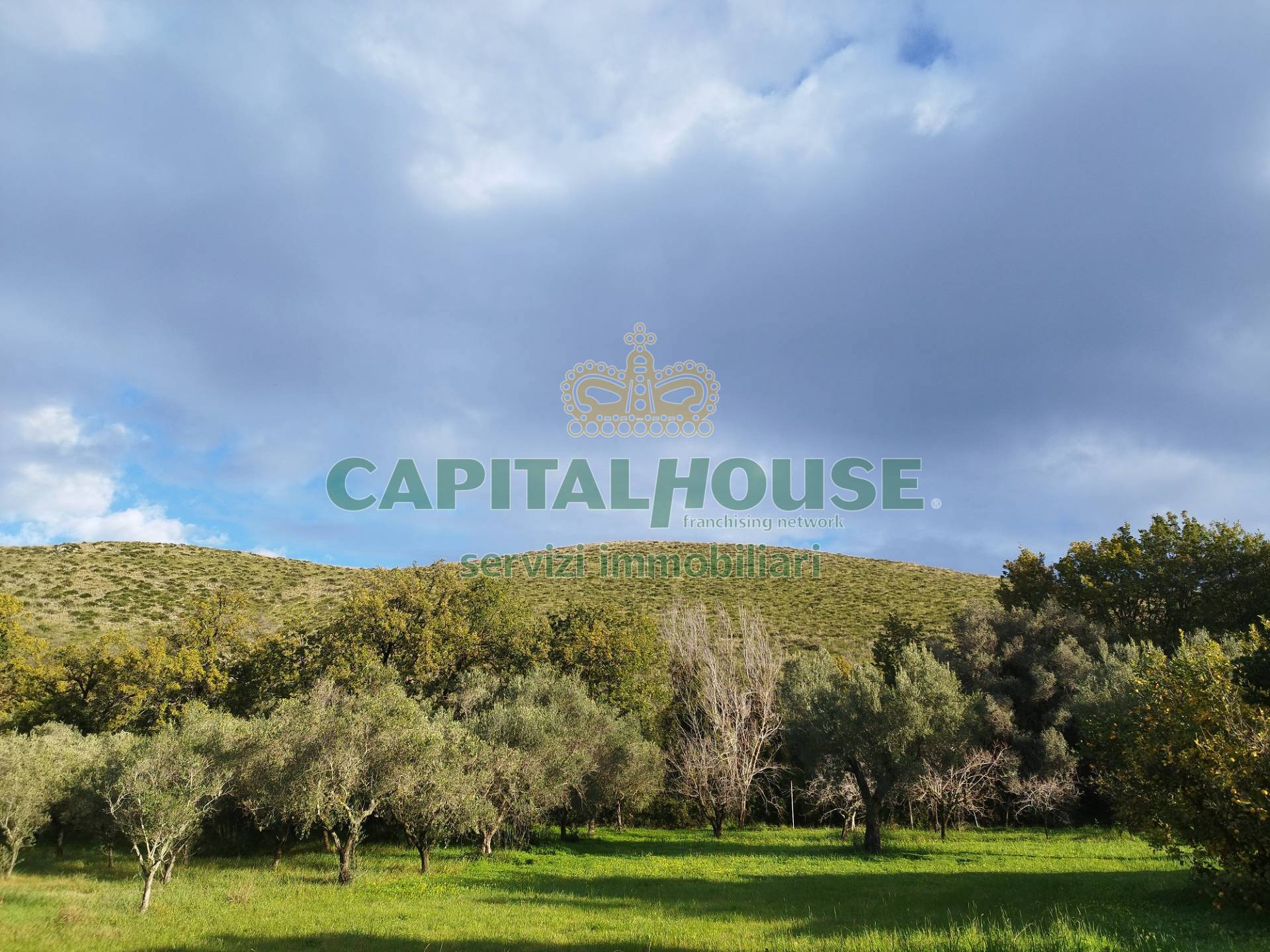 Terreno agricolo in vendita a Pastorano