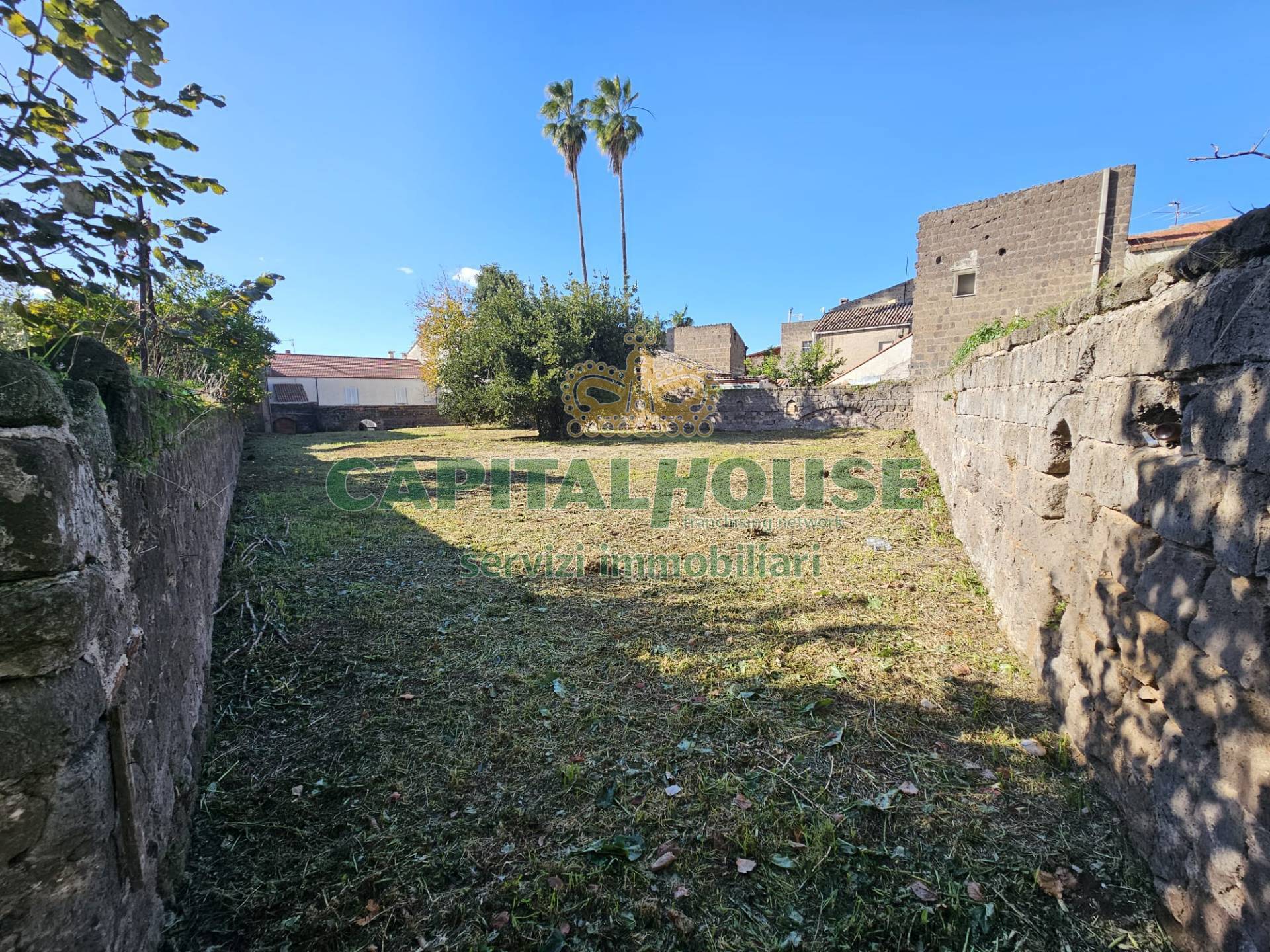 immagine annuncio 5 di 8