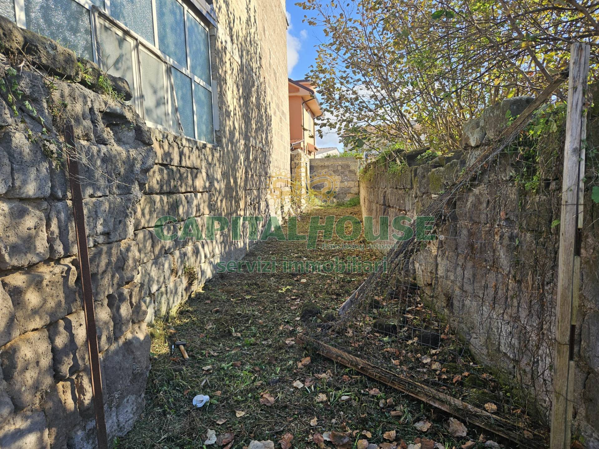 immagine annuncio 6 di 8