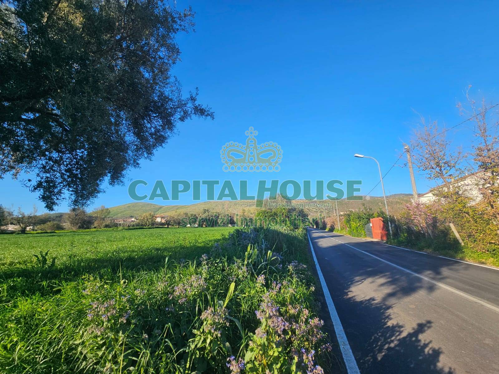 immagine annuncio 2 di 8