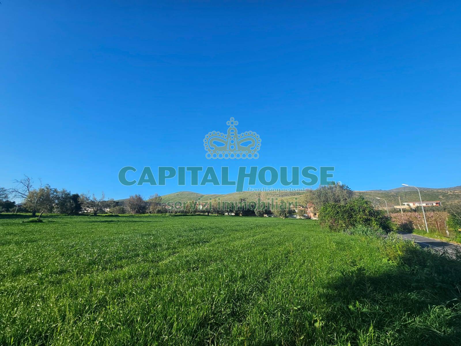 immagine annuncio 3 di 8