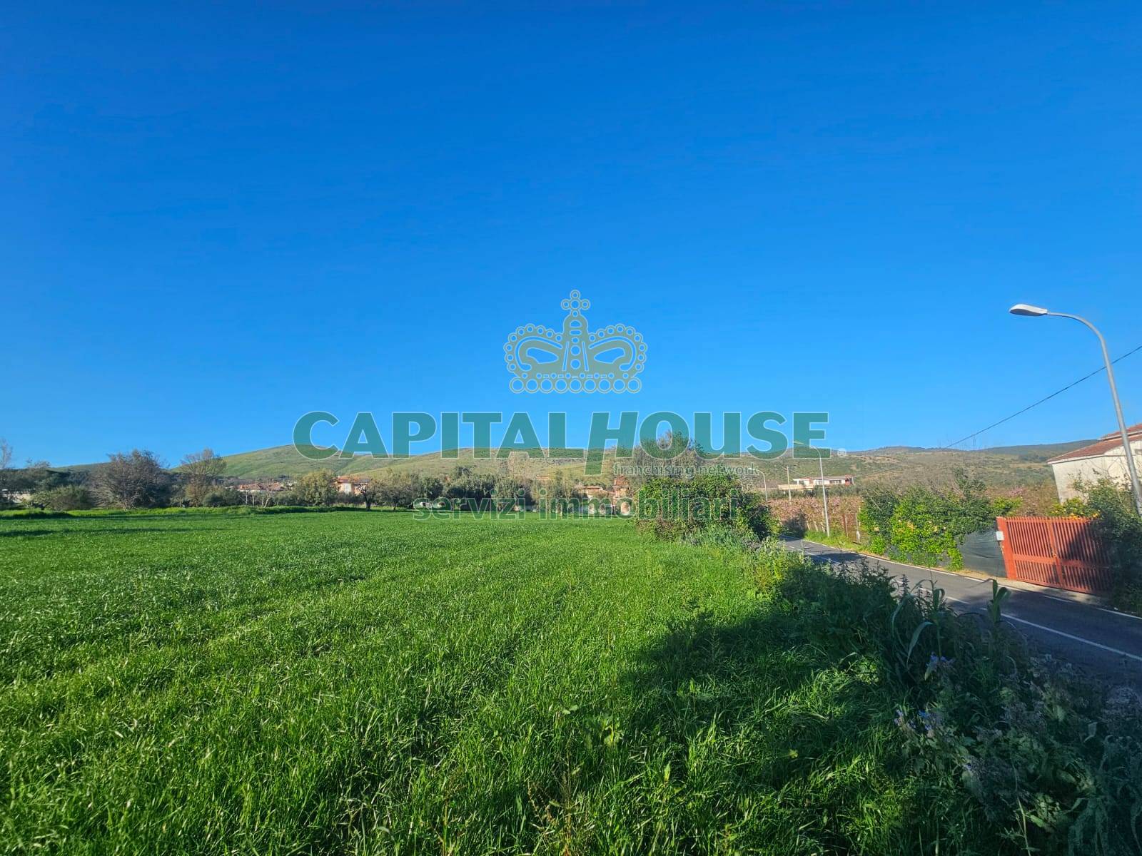 immagine annuncio 5 di 8