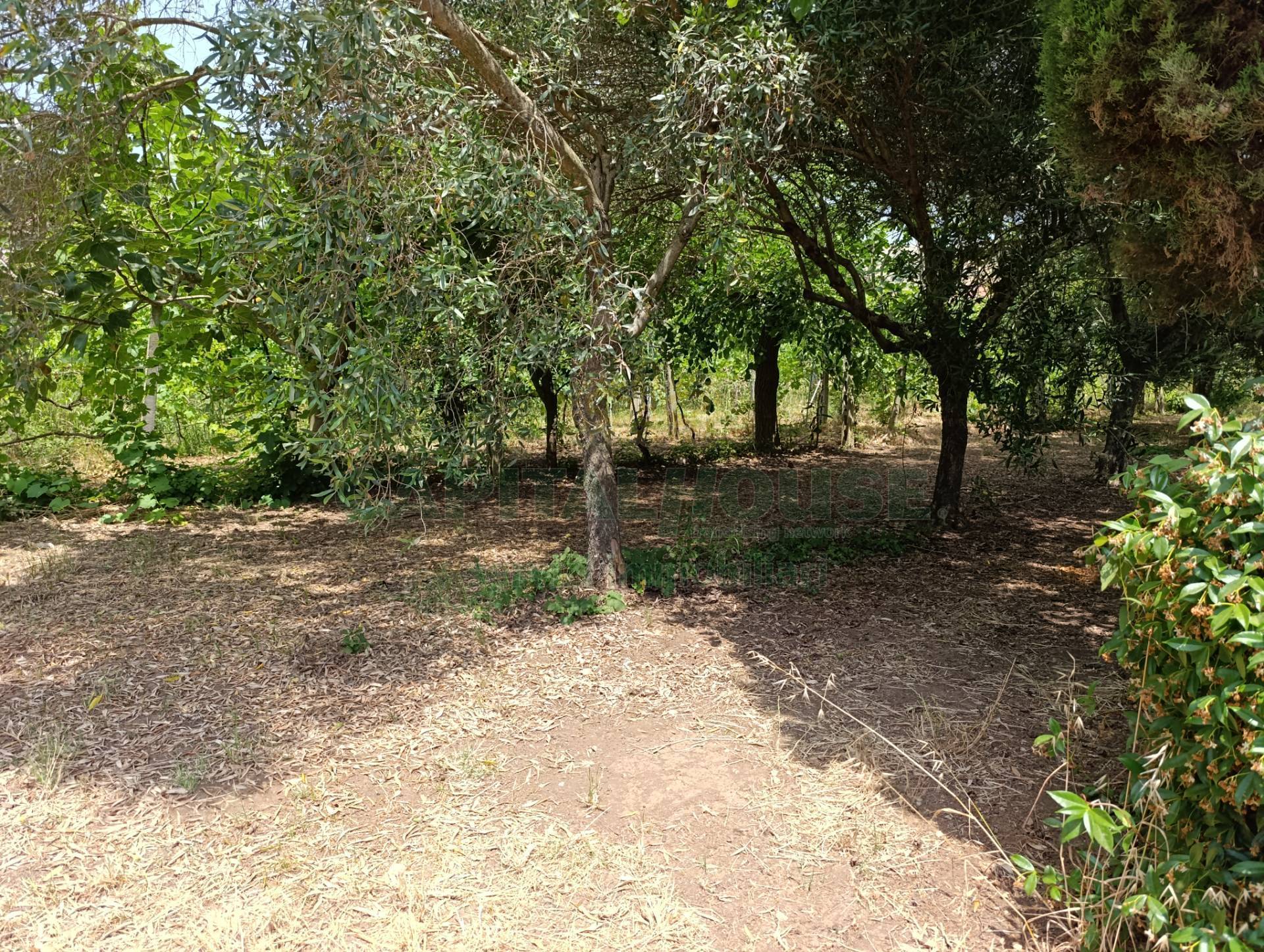 Terreno edificabile in vendita a Pastorano, Pantuliano
