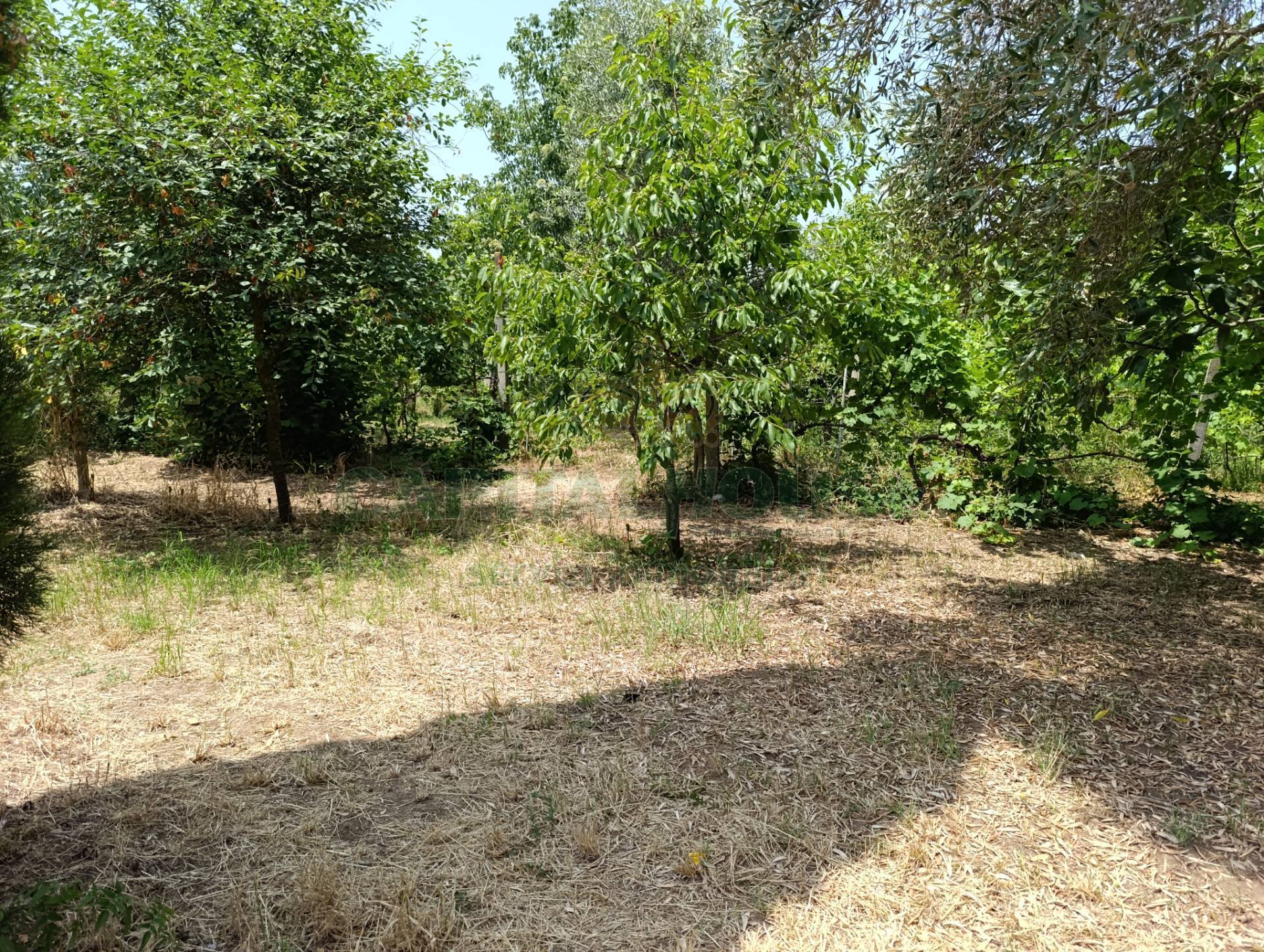 Terreno edificabile in vendita a Pastorano, Pantuliano