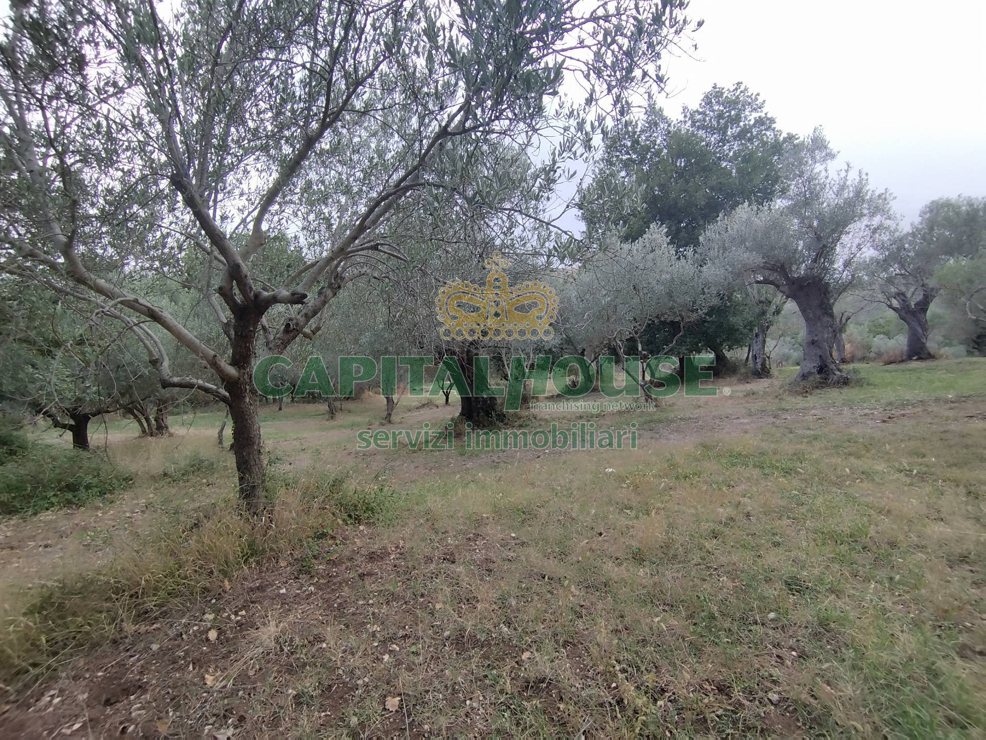 Terreno agricolo in vendita a Giano Vetusto