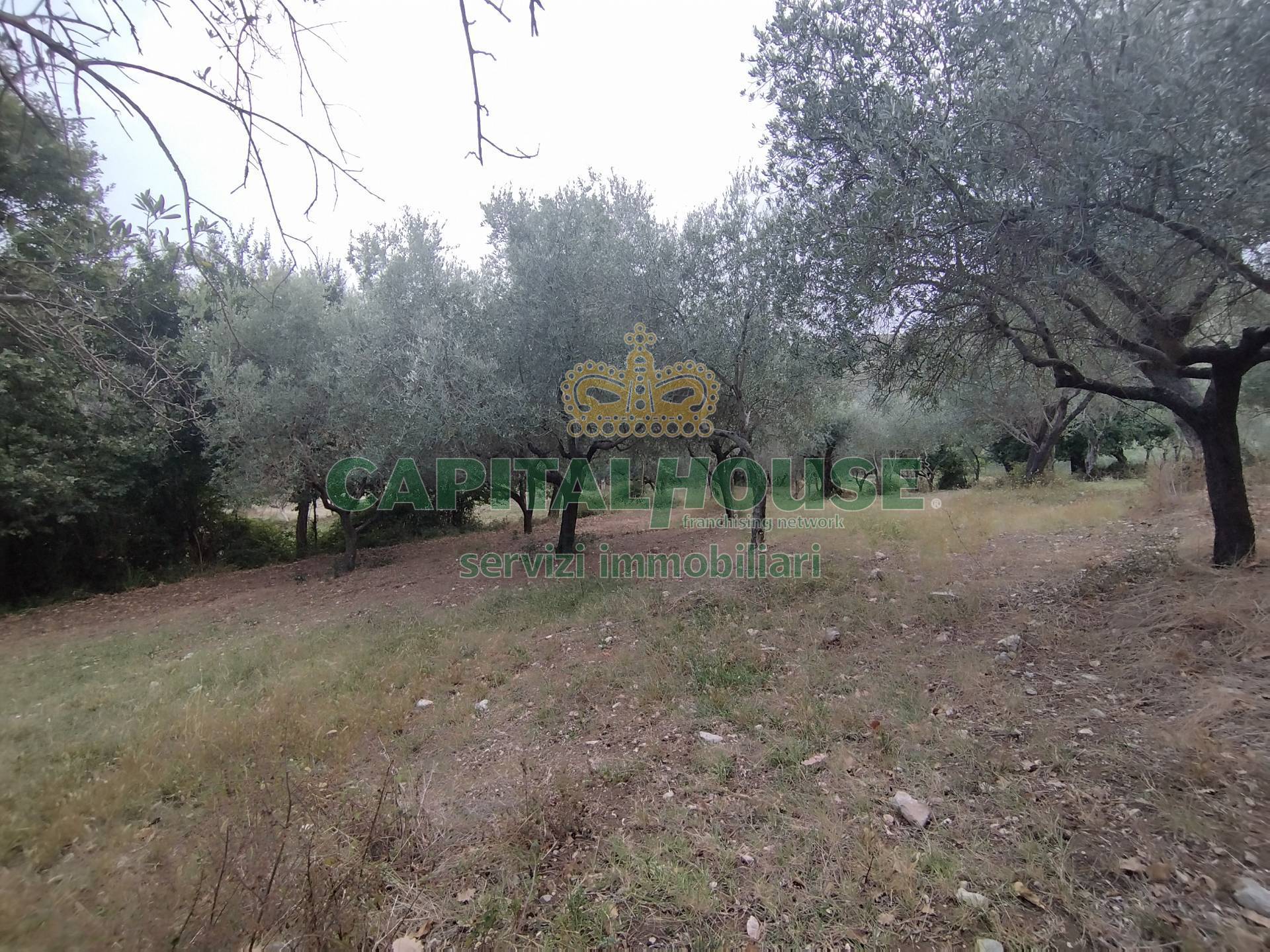 Terreno agricolo in vendita a Giano Vetusto