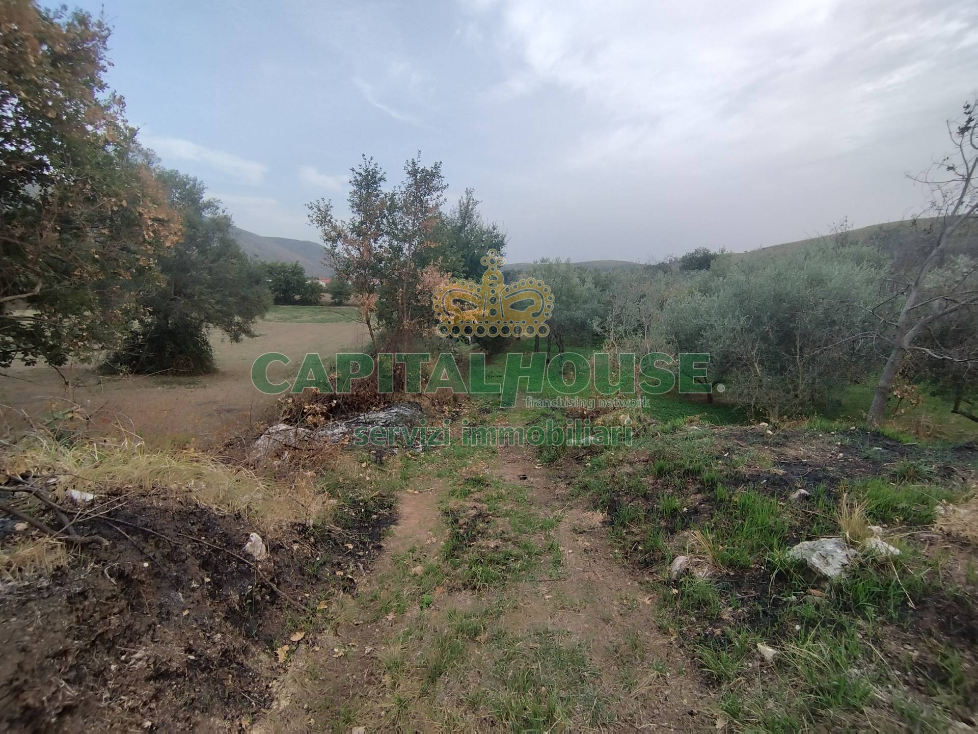 Terreno agricolo in vendita a Giano Vetusto