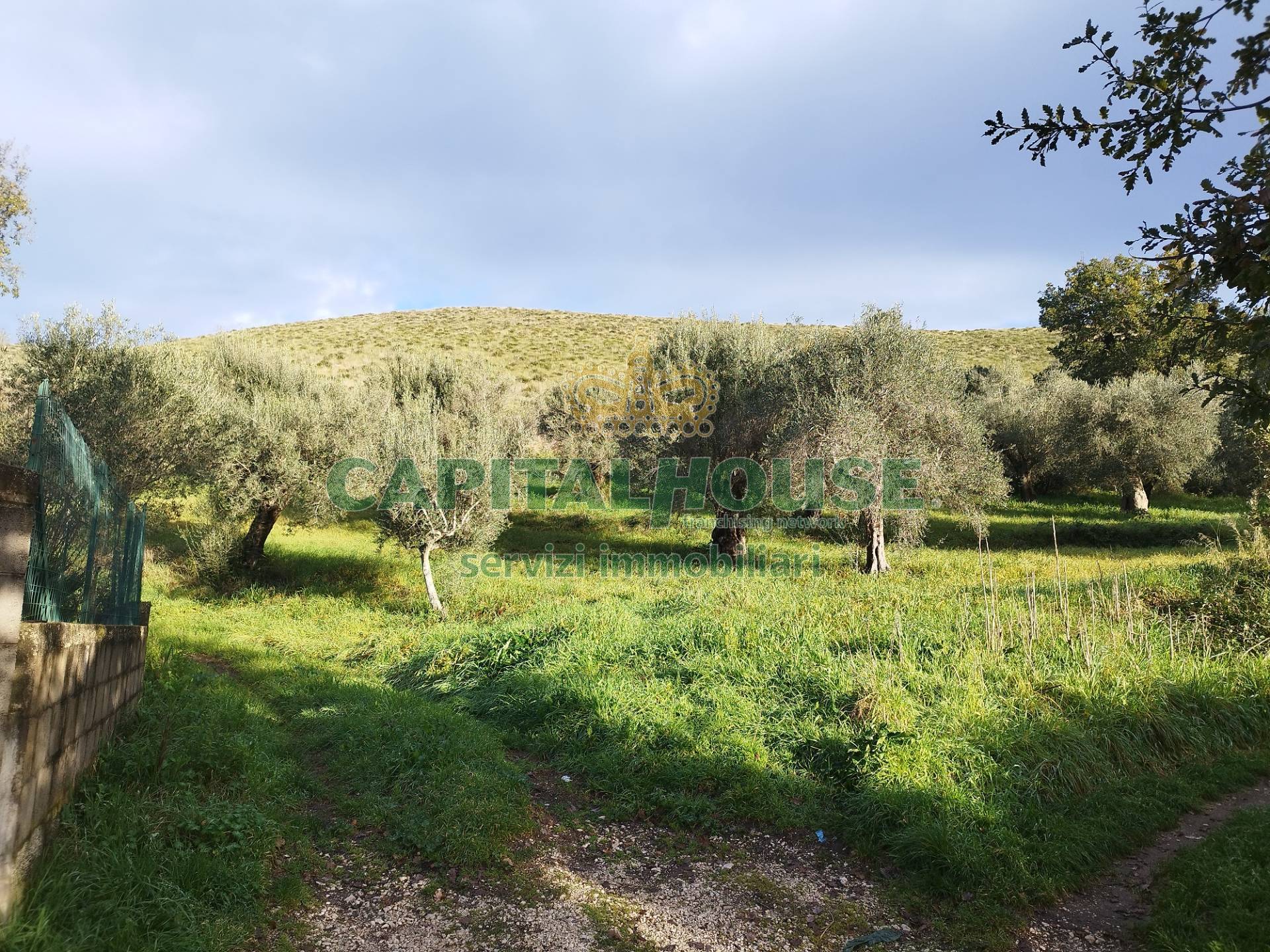 Terreno agricolo in vendita a Pastorano