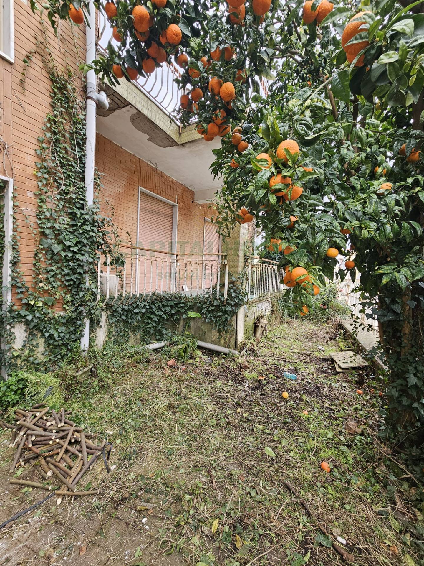 Villa in vendita a Pignataro Maggiore