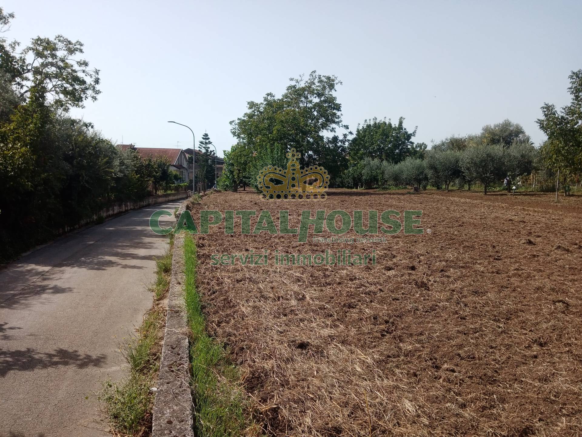 Terreno edificabile in vendita a Pastorano, Pantuliano