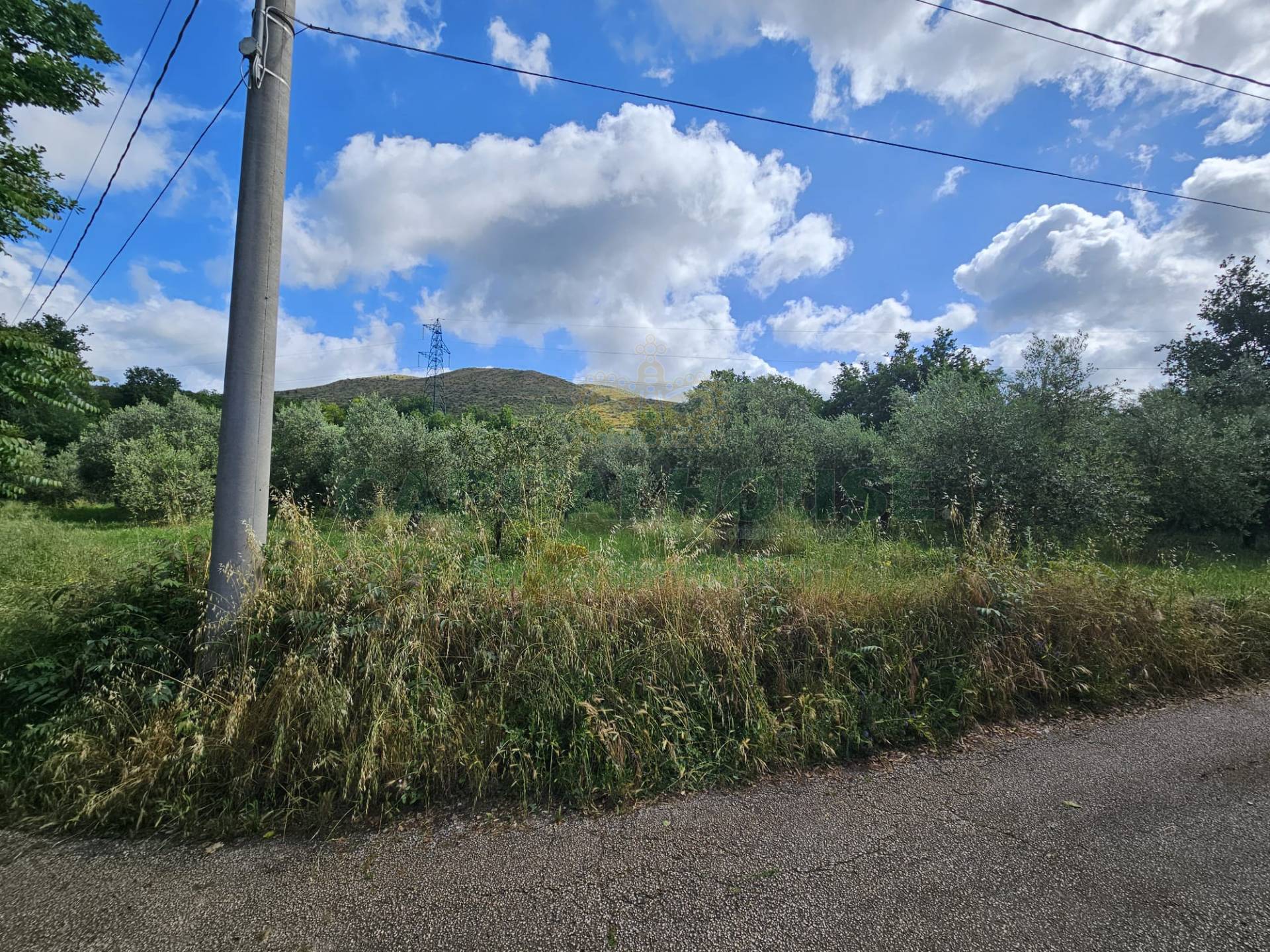 Terreno agricolo in vendita a Calvi Risorta, Visciano-Zuni