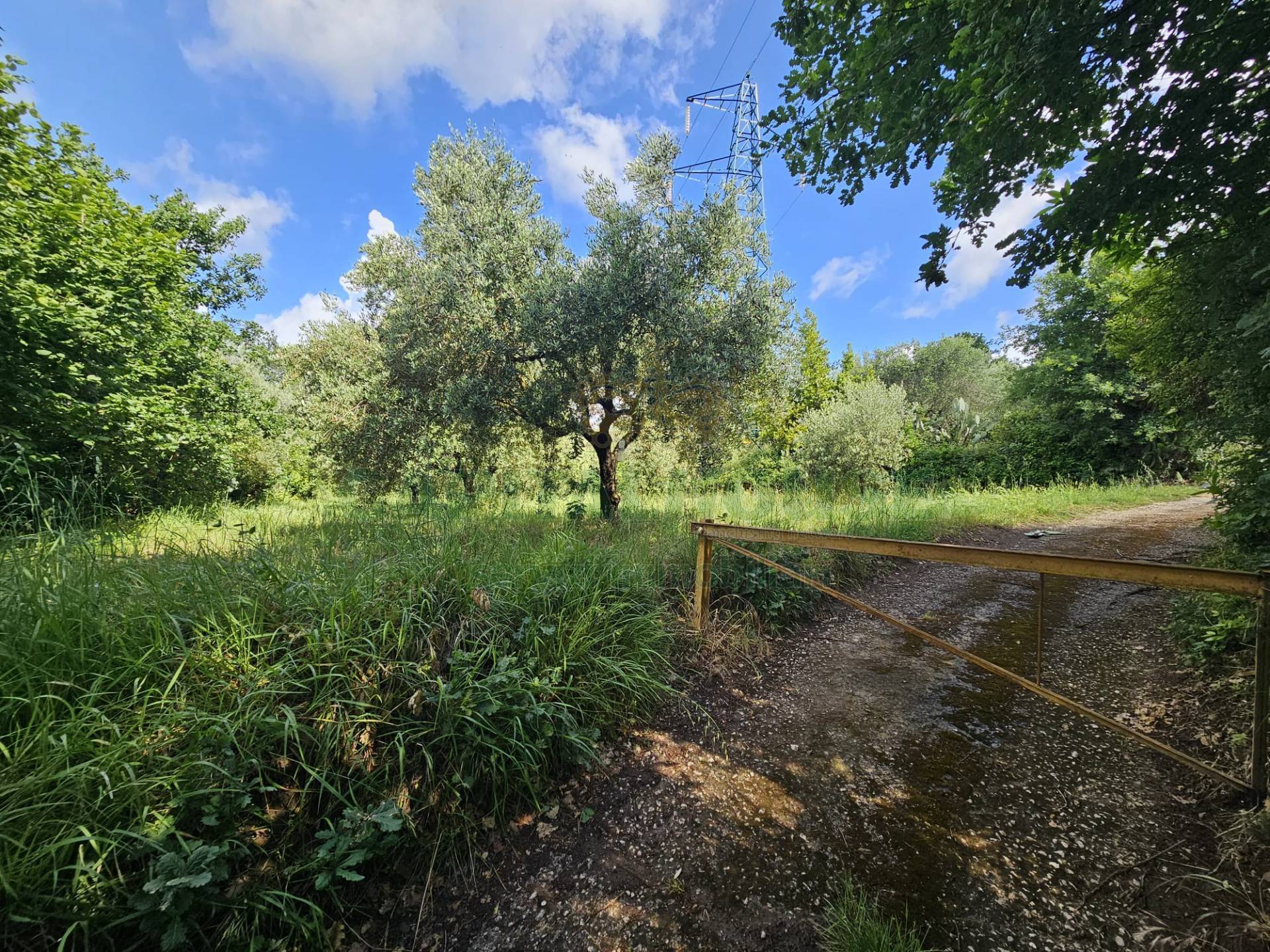 Terreno agricolo in vendita a Calvi Risorta, Visciano-Zuni