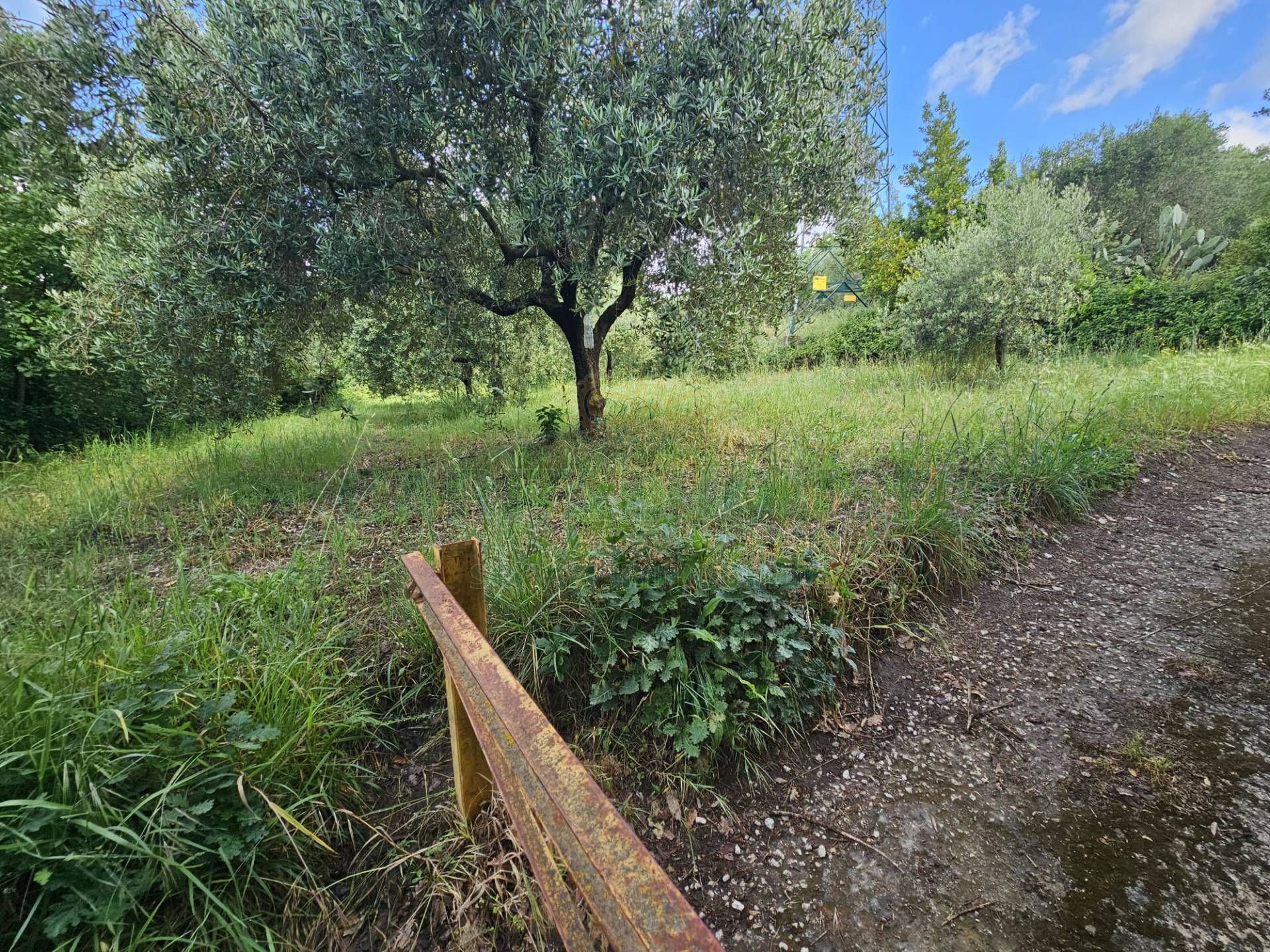 Terreno agricolo in vendita a Calvi Risorta, Visciano-Zuni