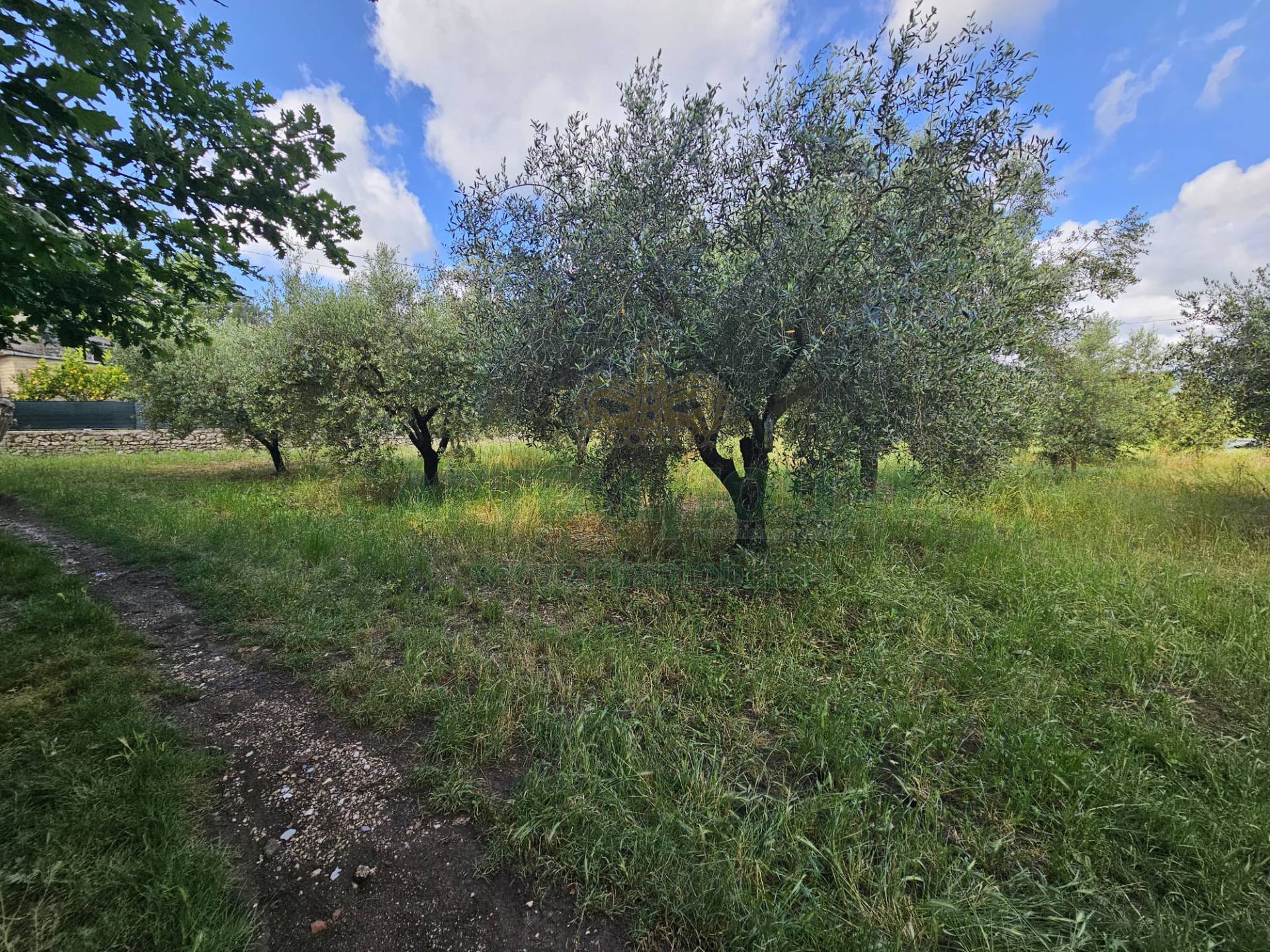 Terreno agricolo in vendita a Calvi Risorta, Visciano-Zuni
