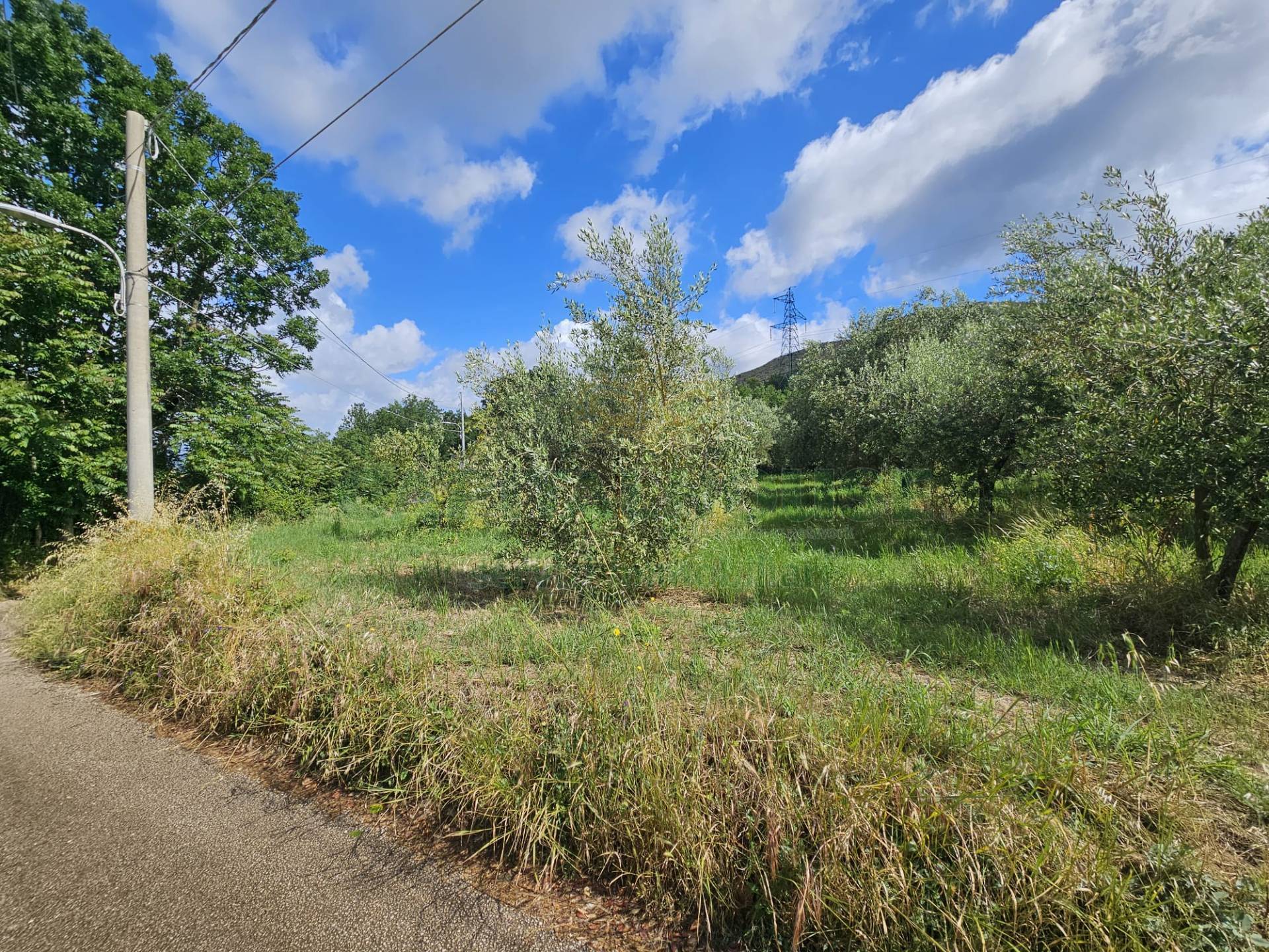 Terreno agricolo in vendita a Calvi Risorta, Visciano-Zuni