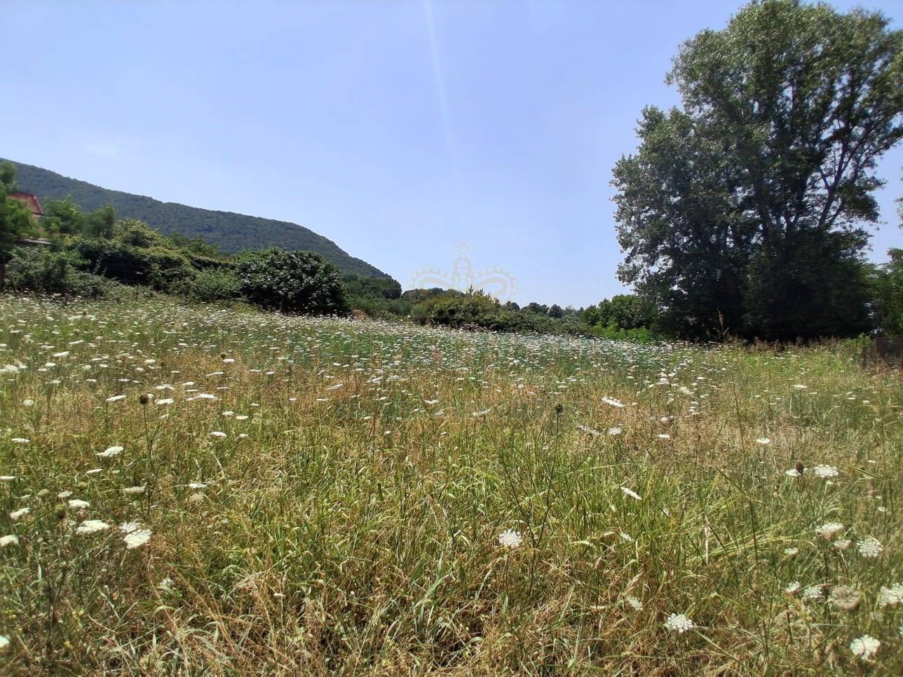 Terreno edificabile in vendita a Bellona, Triflisco
