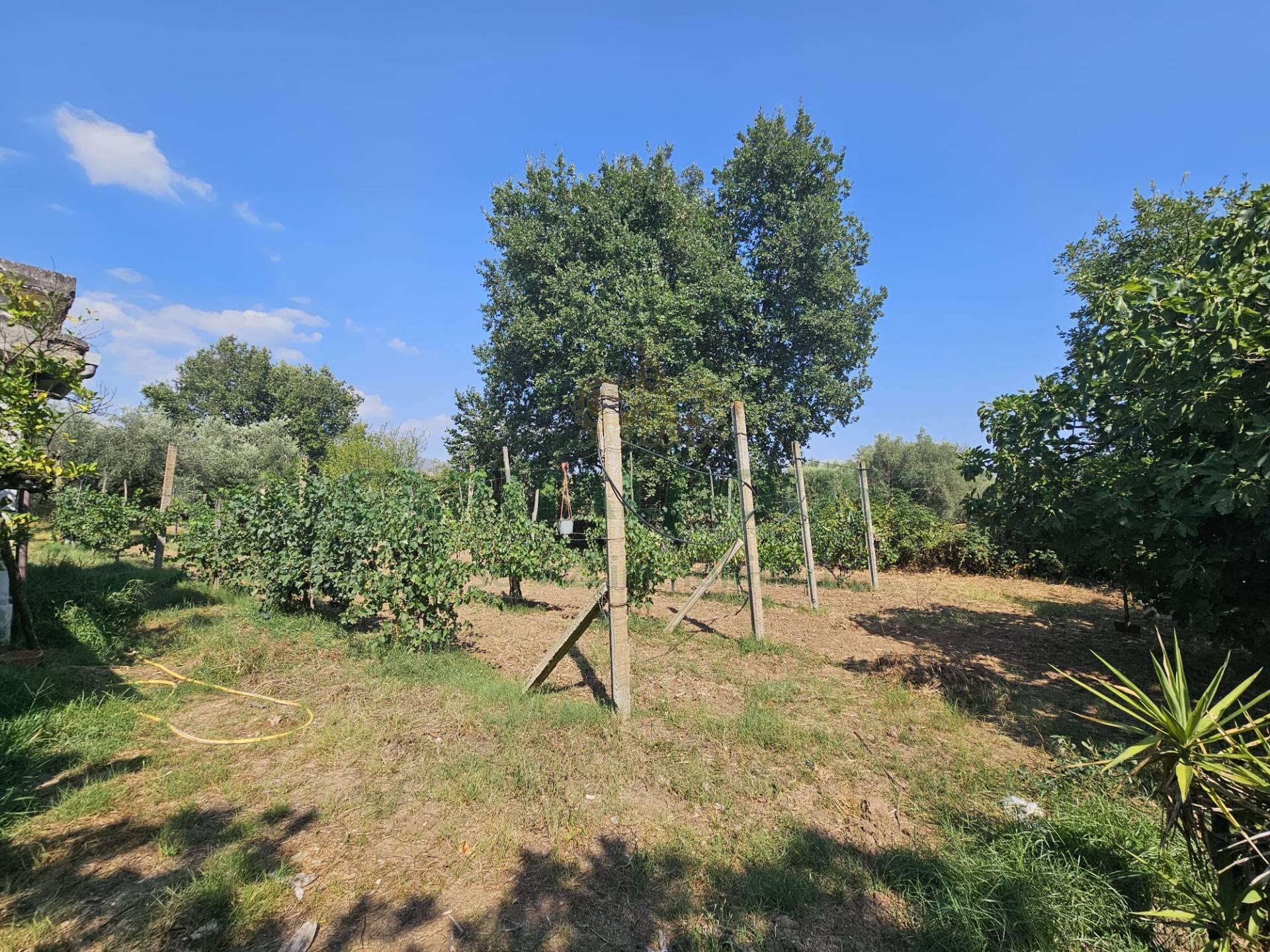 Villa in vendita a Pignataro Maggiore