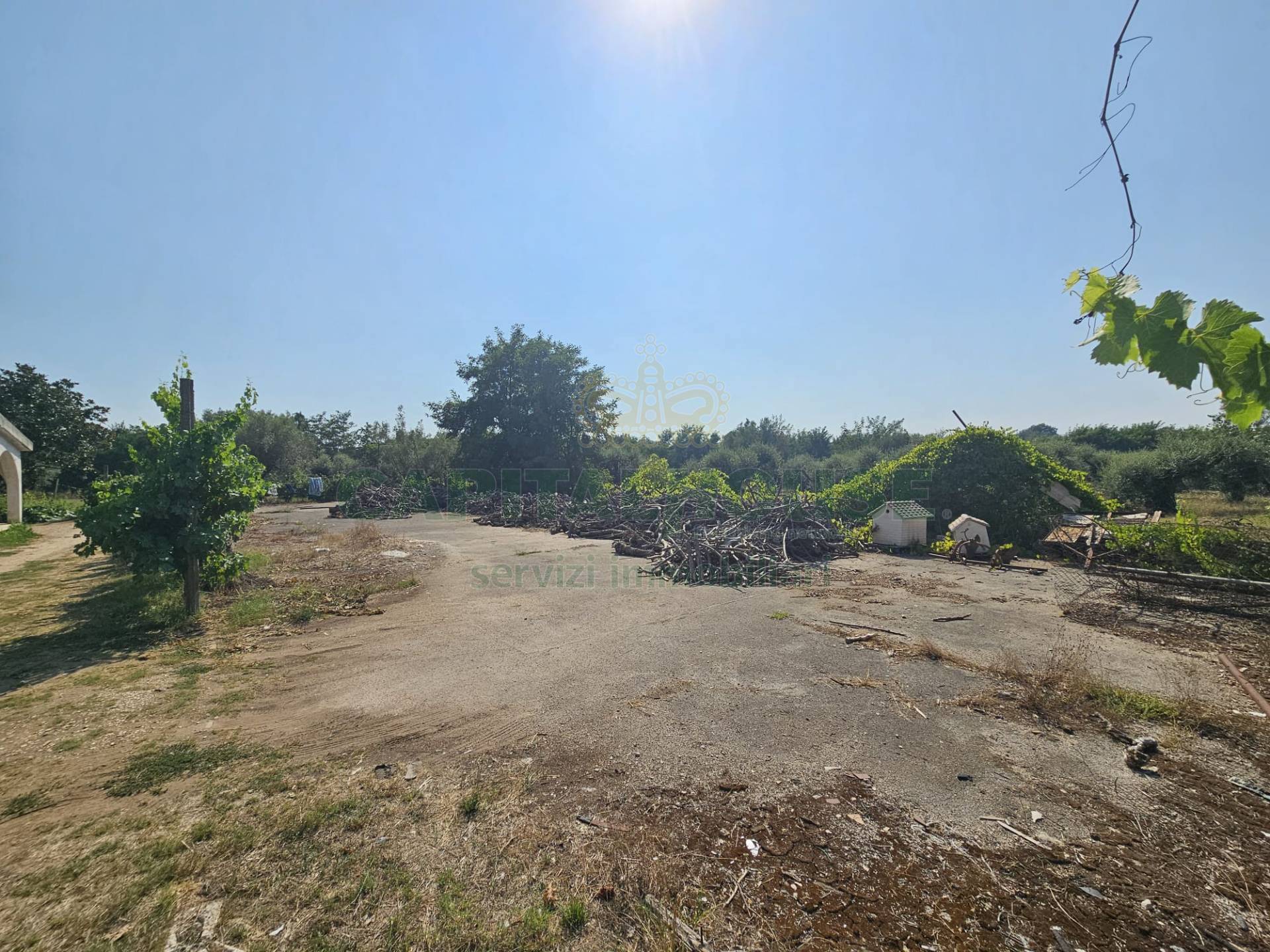 Villa in vendita a Pignataro Maggiore
