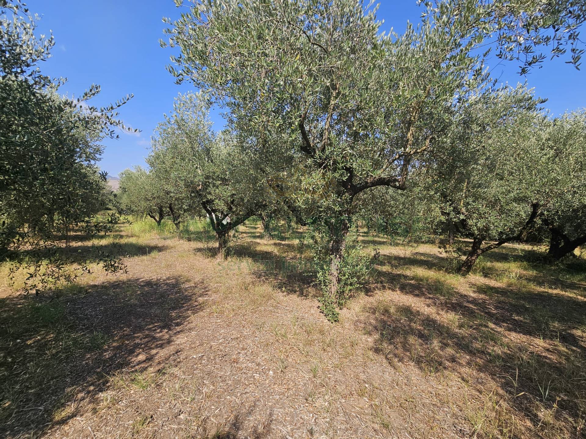 Villa in vendita a Pignataro Maggiore