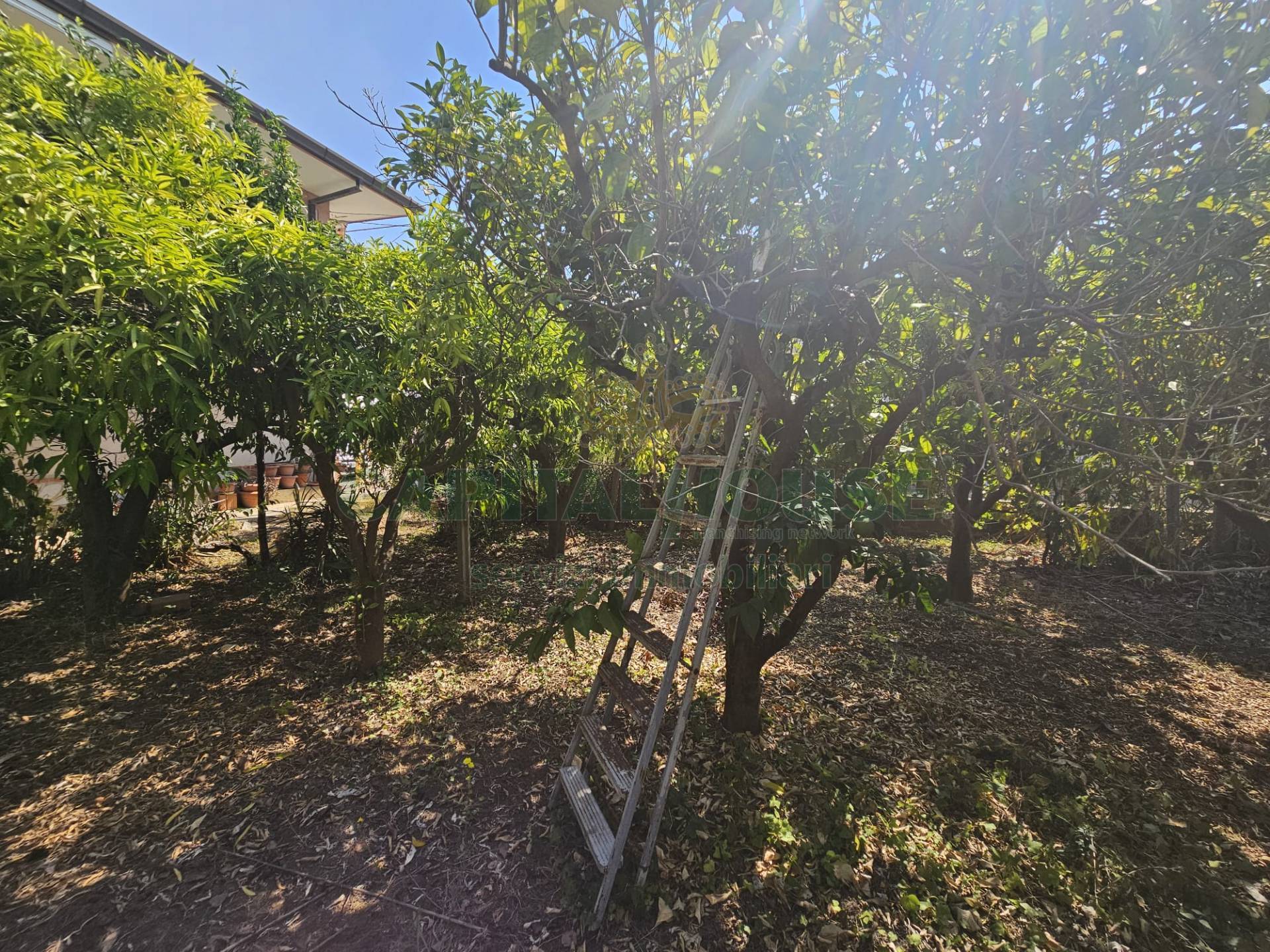 Villa in vendita a Pastorano