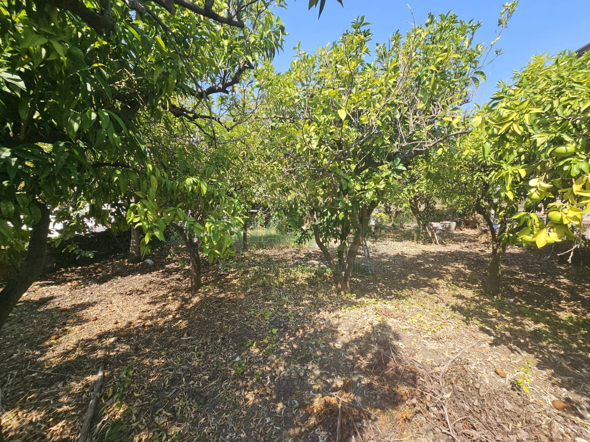 Villa in vendita a Pastorano