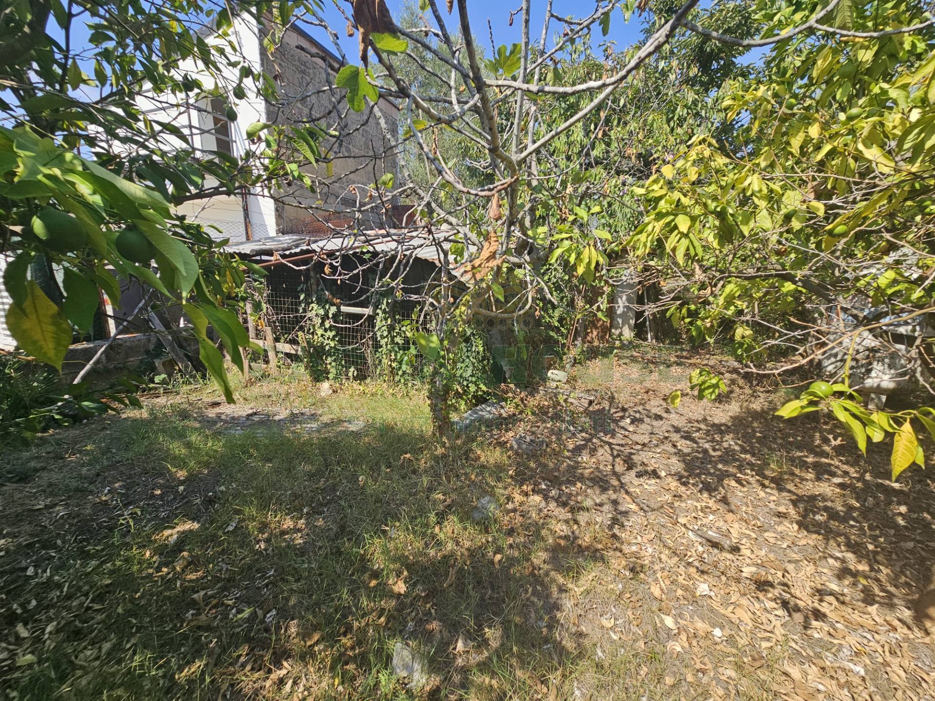 Villa in vendita a Pastorano