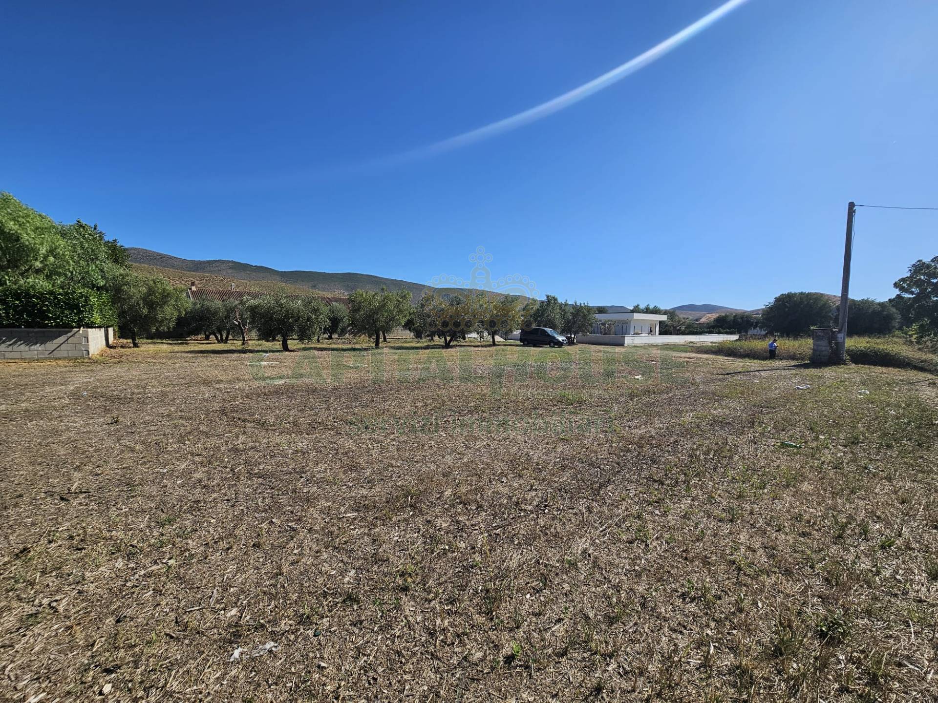 Terreno edificabile in vendita a Pastorano