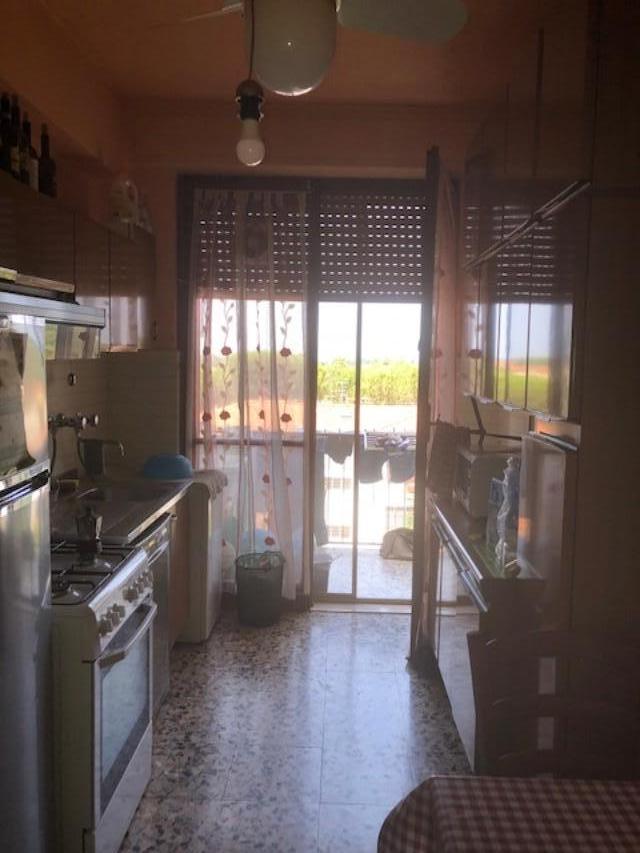 Quadrilocale arredato in affitto, Pisa porta a lucca