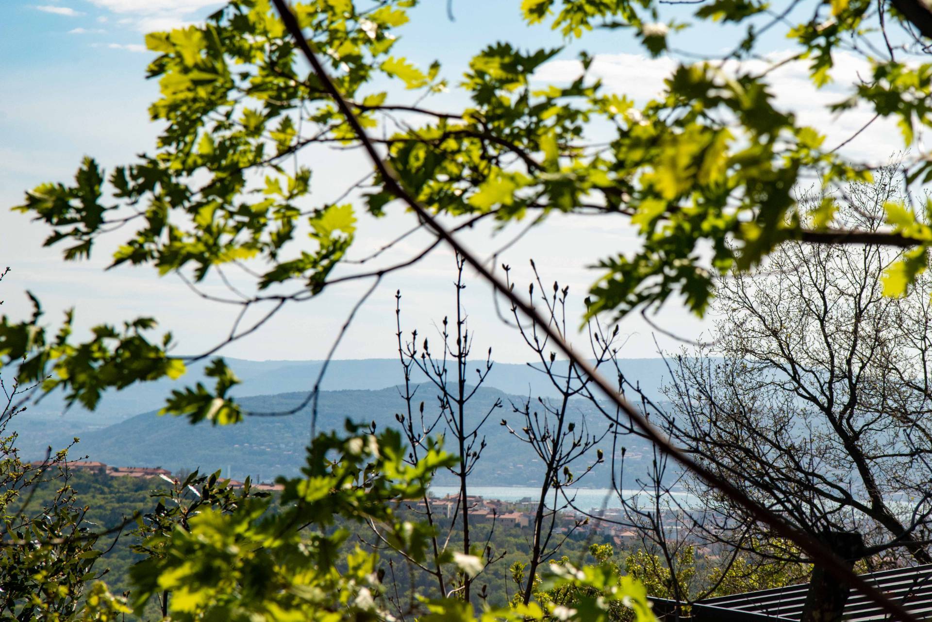 Appartamento in affitto a Trieste