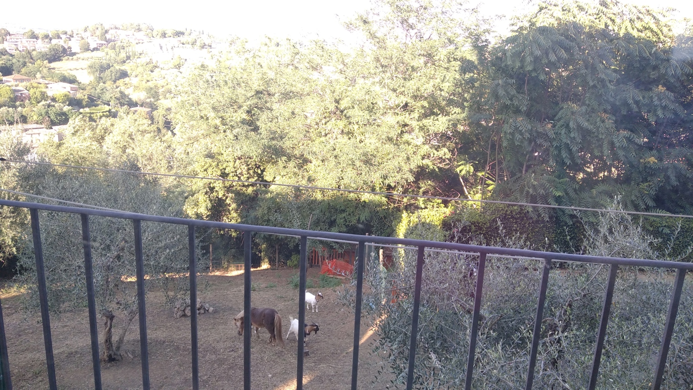 Monolocale arredato in affitto a Siena