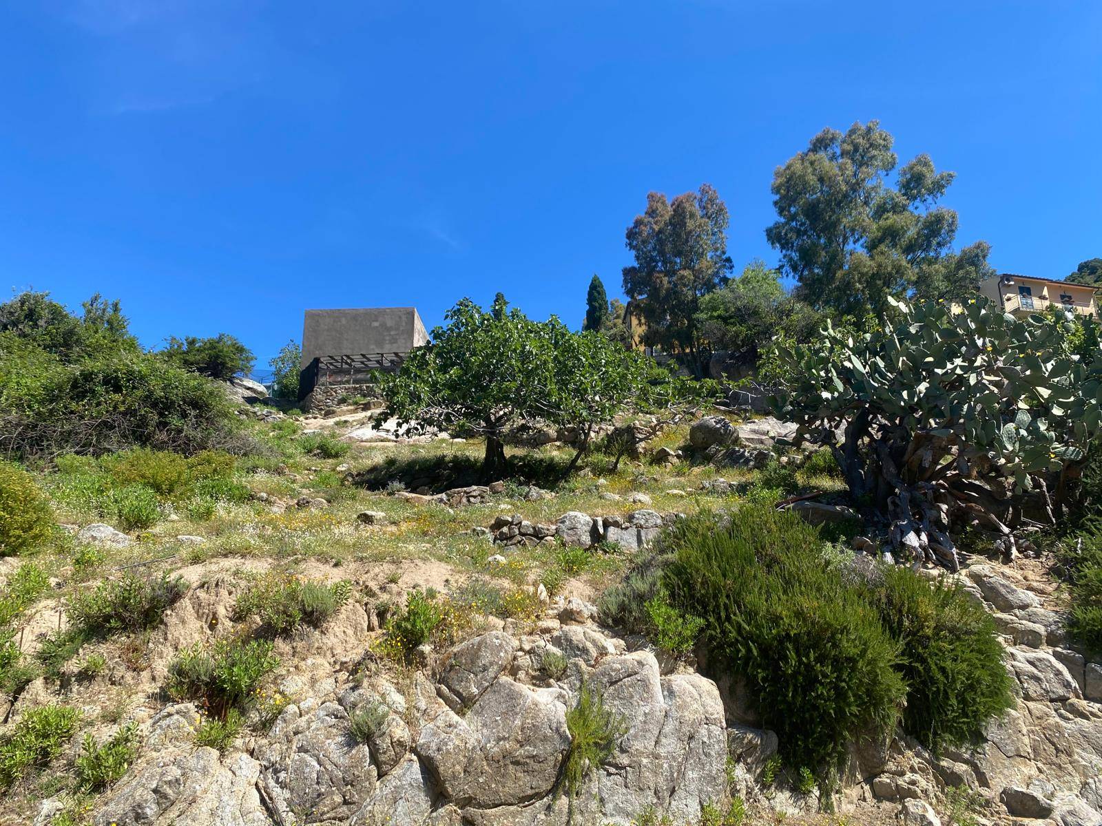 Terreno in vendita a Marciana Marina