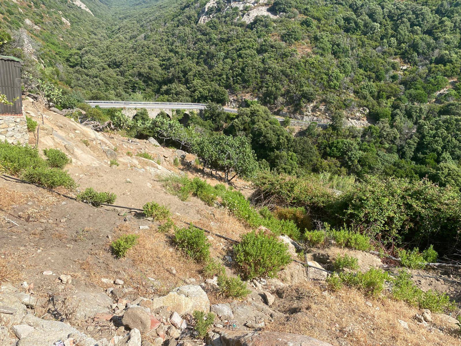 Terreno in vendita a Marciana, Patresi