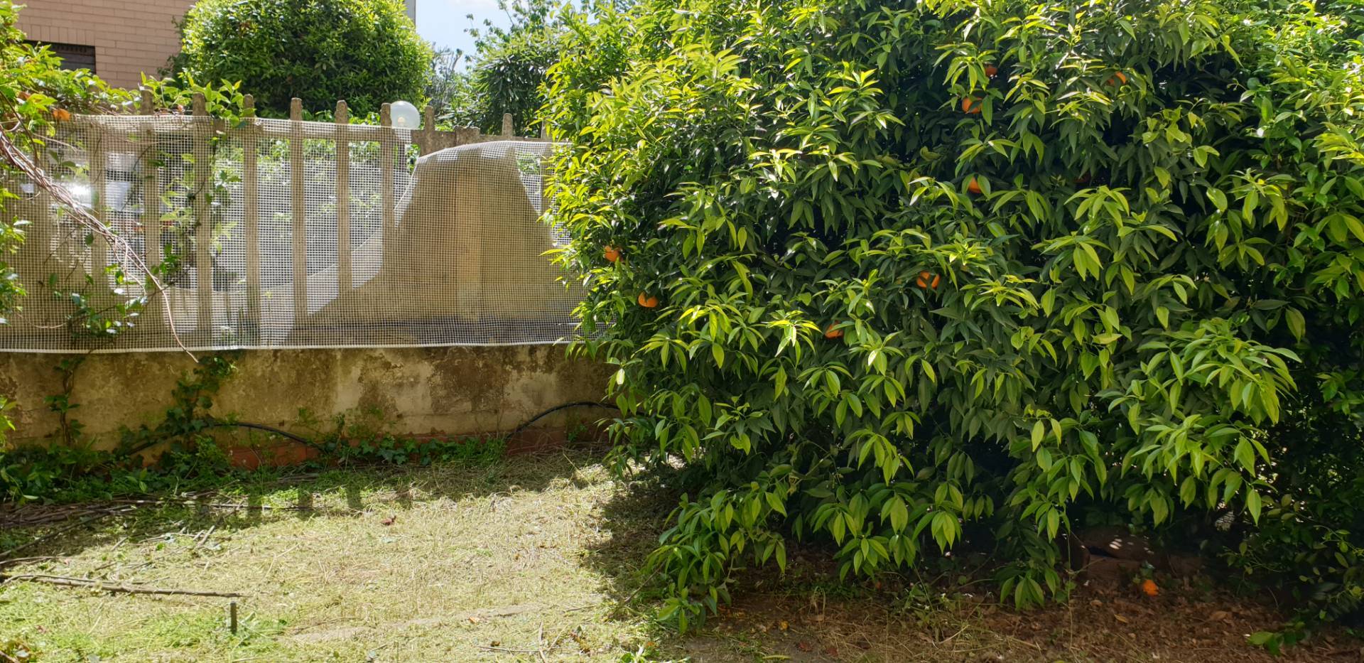 Appartamento in vendita a Guidonia Montecelio, Colle Fiorito