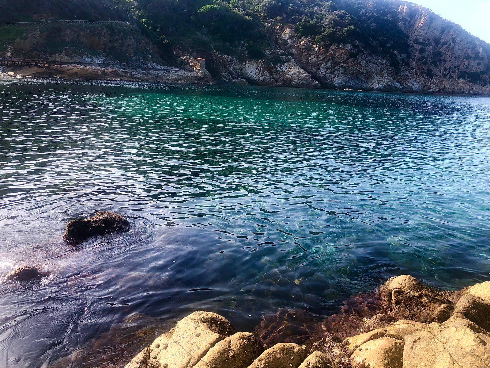 Appartamento in vendita a Marciana Marina