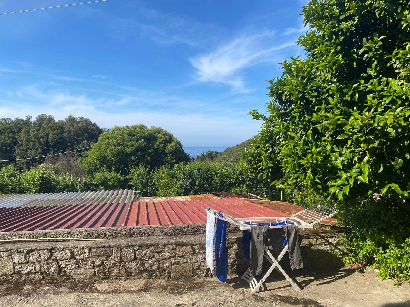 Appartamento in vendita a Marciana Marina