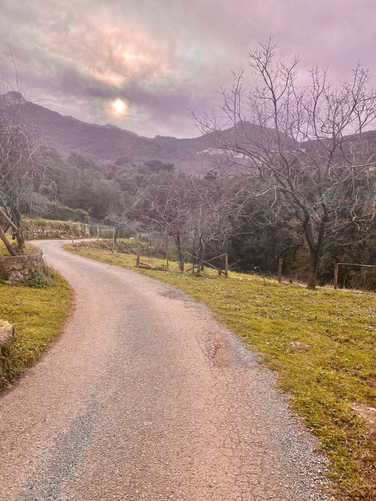 Garage/Box/Cantina/Posto Auto in vendita a Marciana