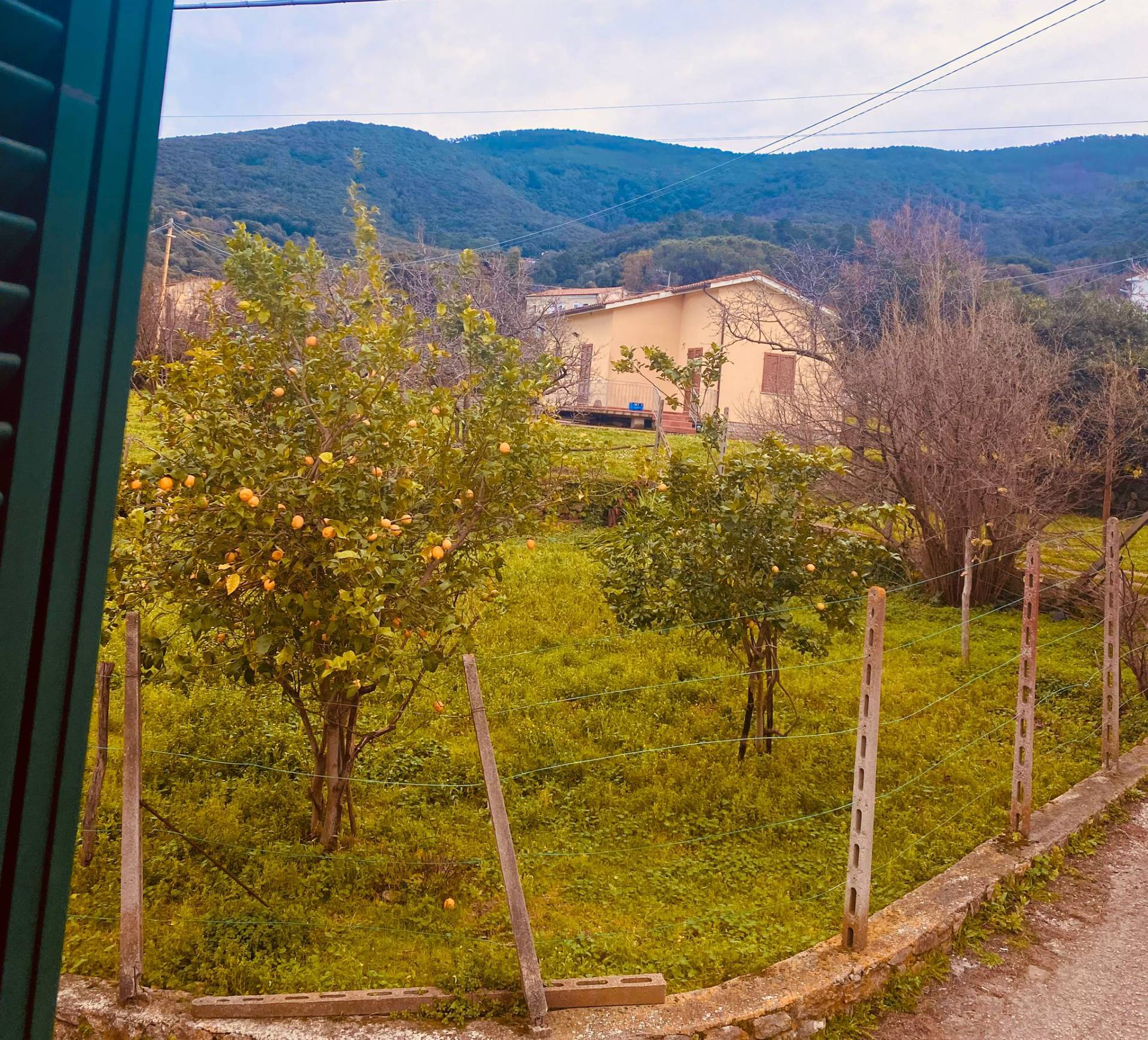 Garage/Box/Cantina/Posto Auto in vendita a Marciana