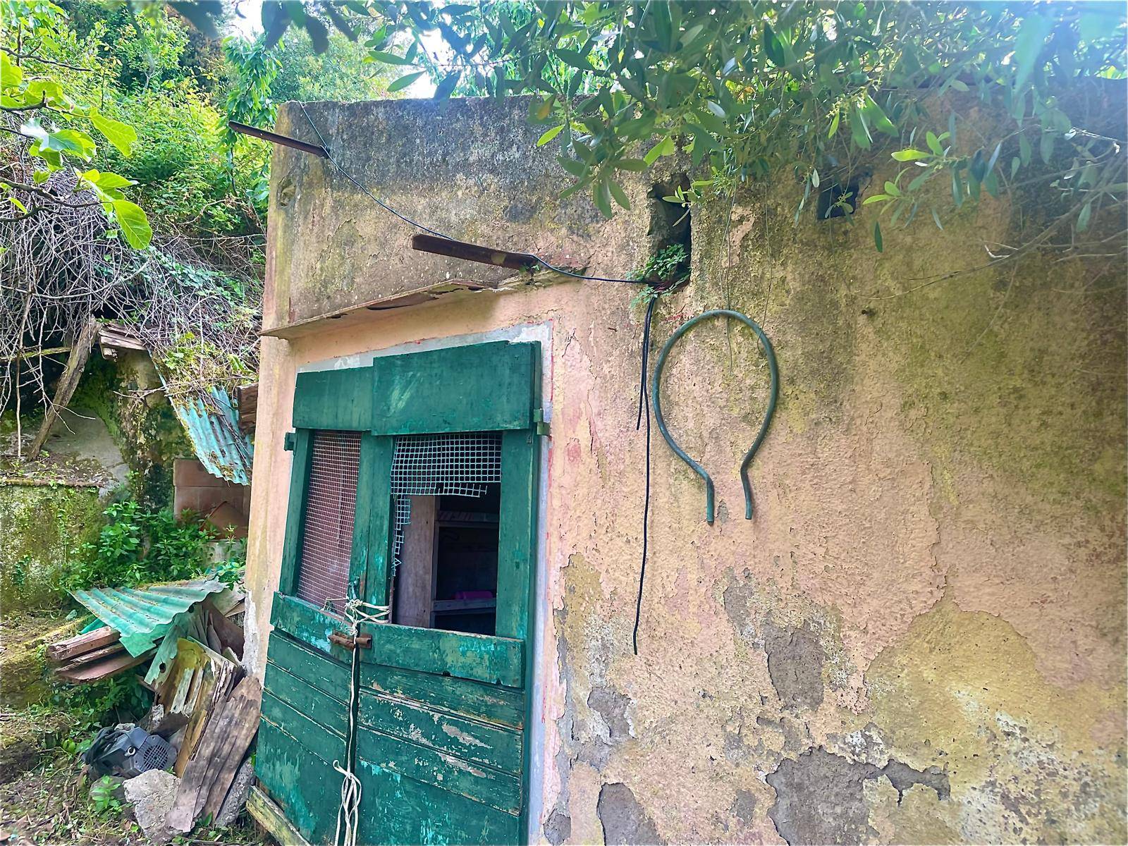 Lotto in vendita a Marciana, Patresi