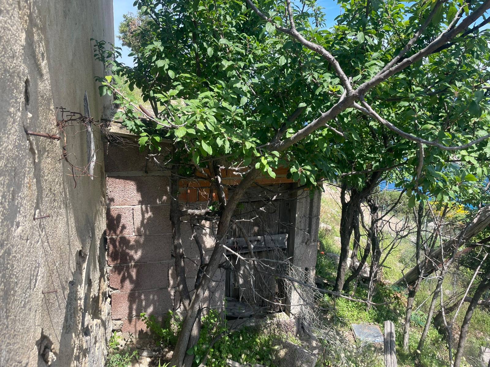 Terreno Agricolo in vendita a Marciana, Patresi