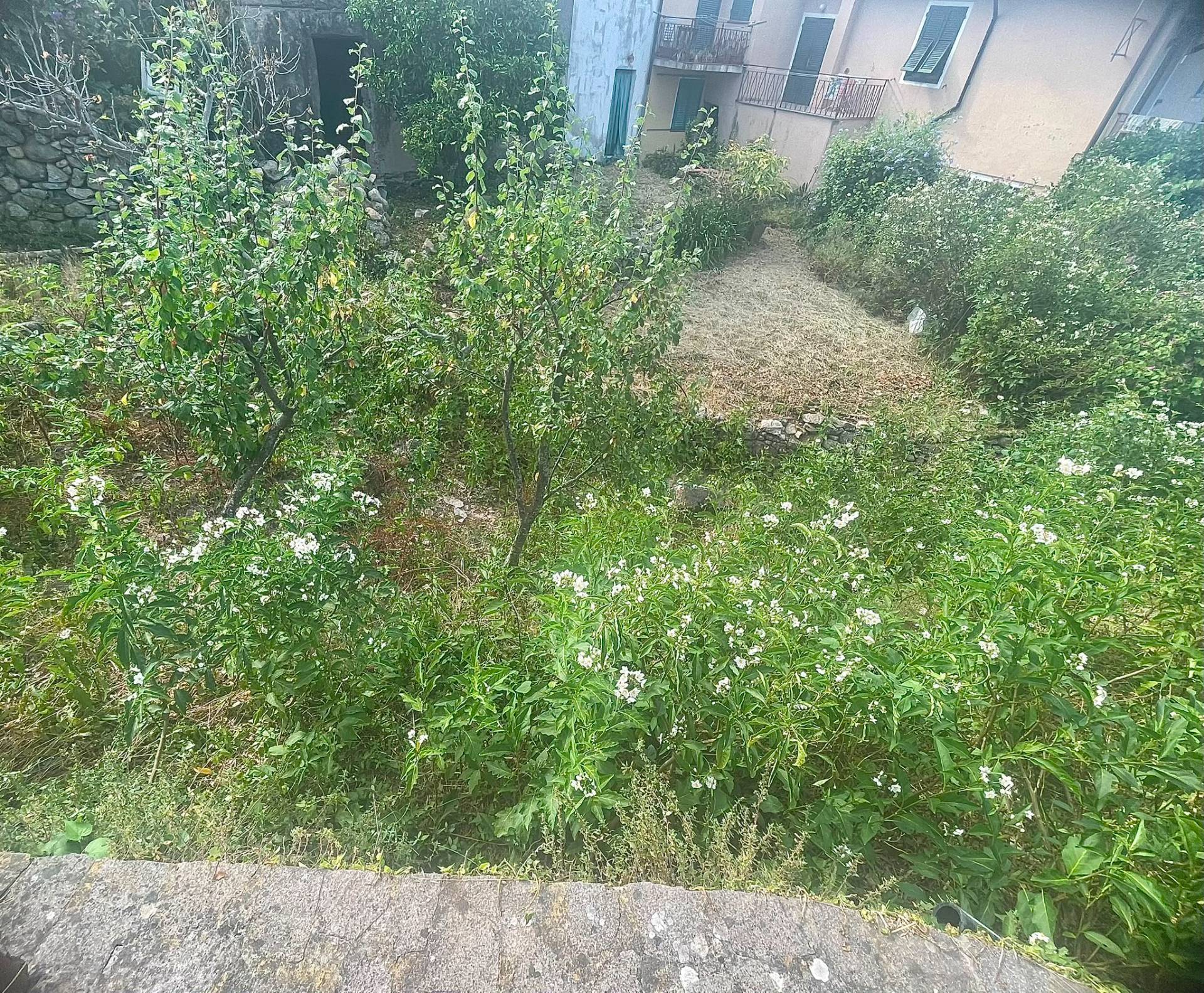 Casa semi indipendente in vendita a Marciana Marina