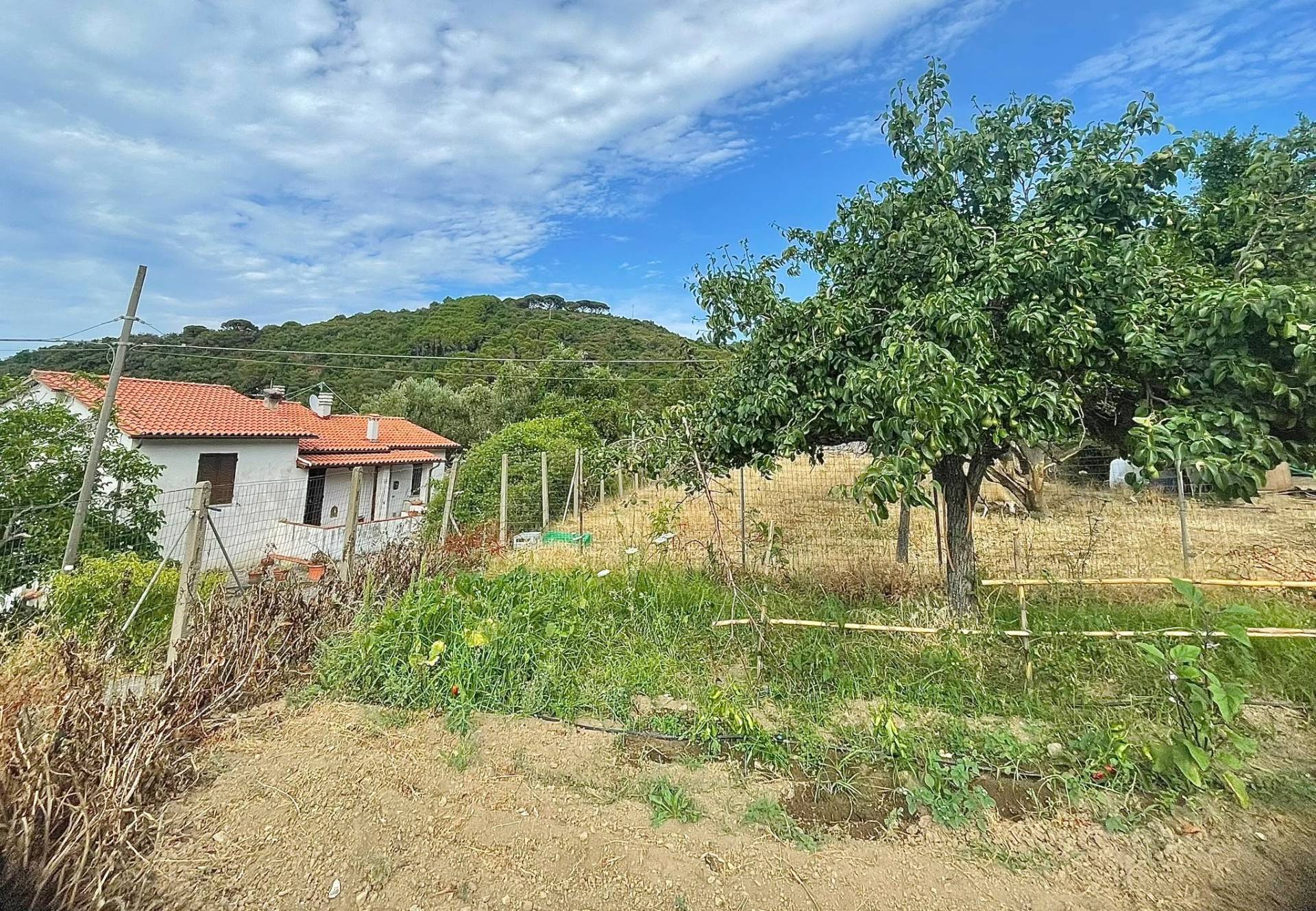 Casa semi indipendente in vendita a Marciana Marina